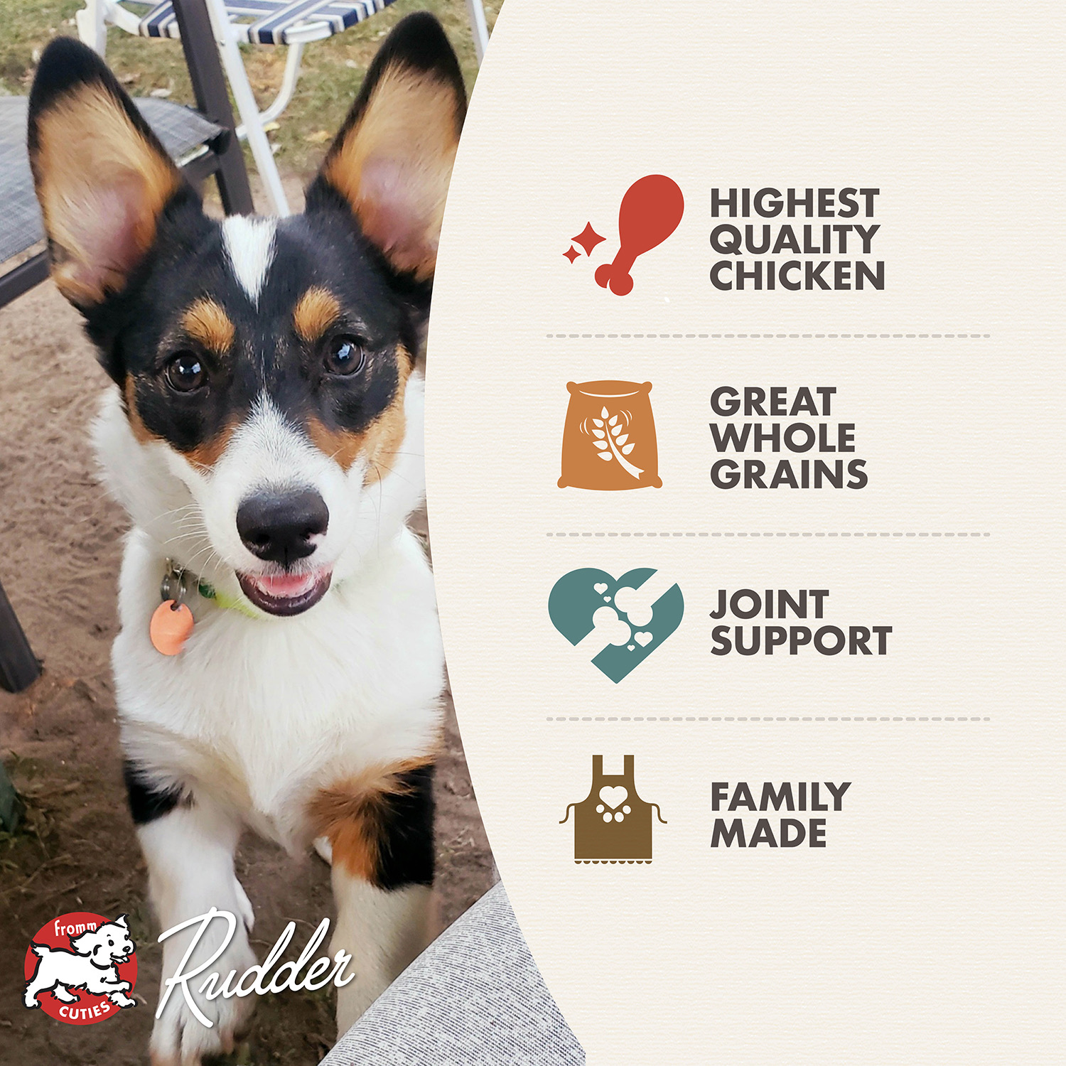 classic_features-puppy