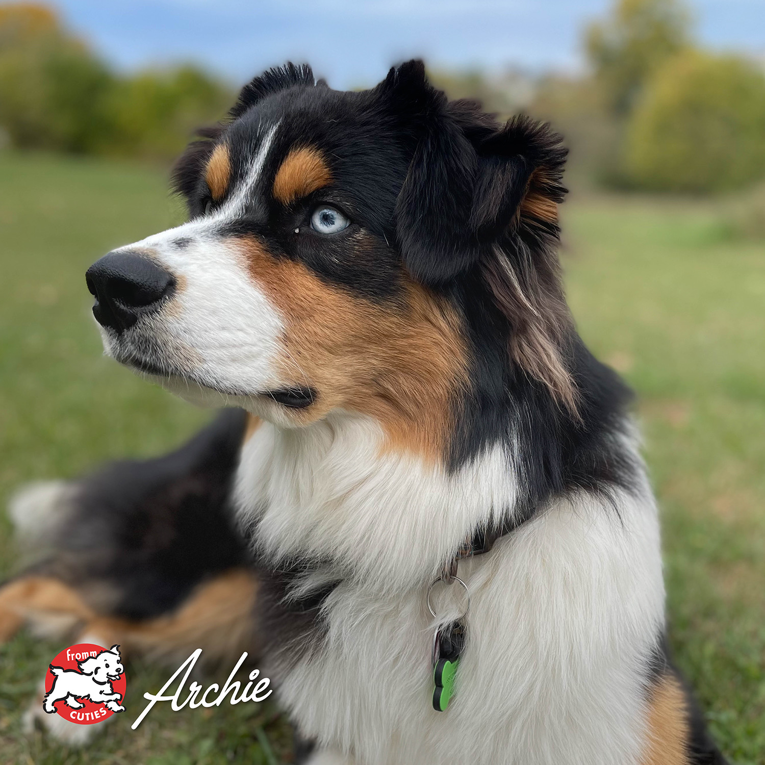 diner_cuties-archie