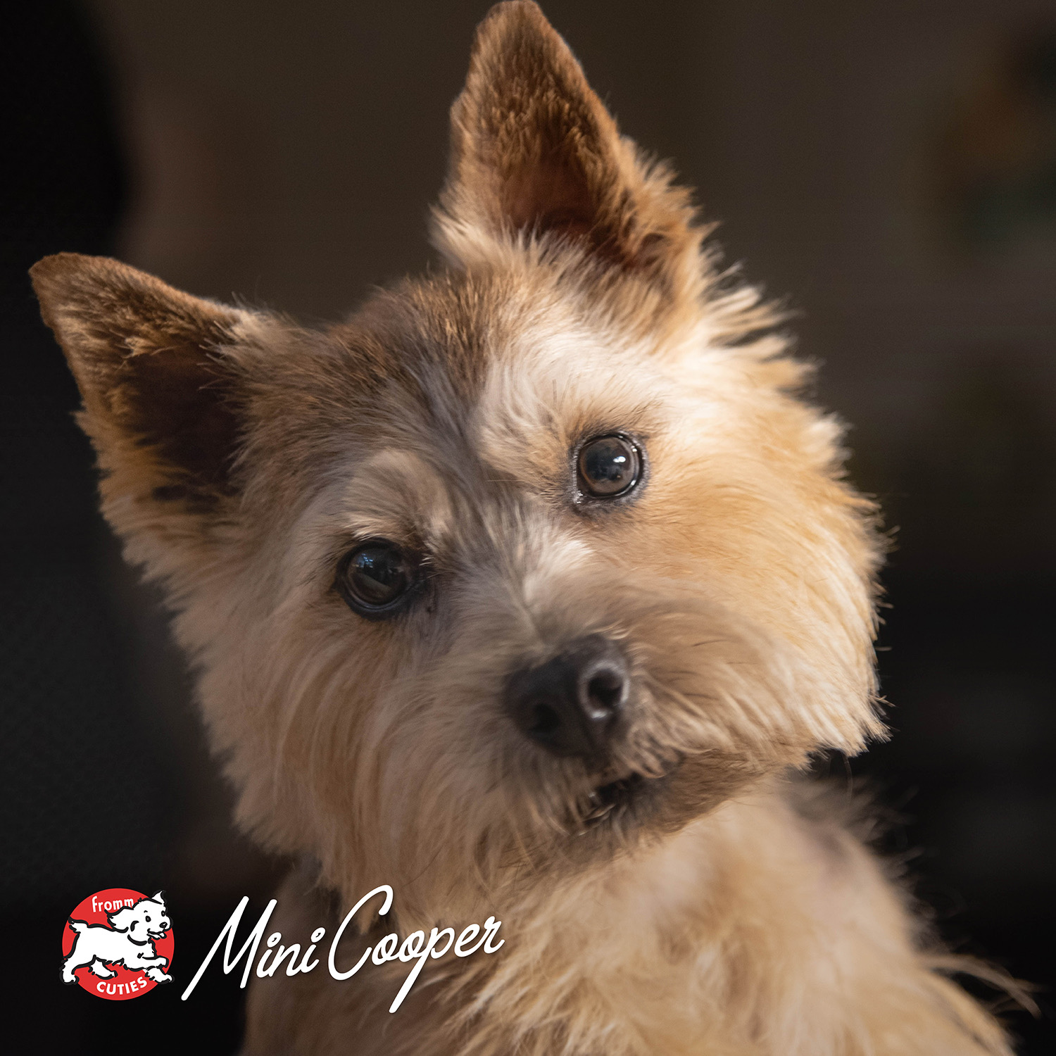 diner_cuties-minicooper