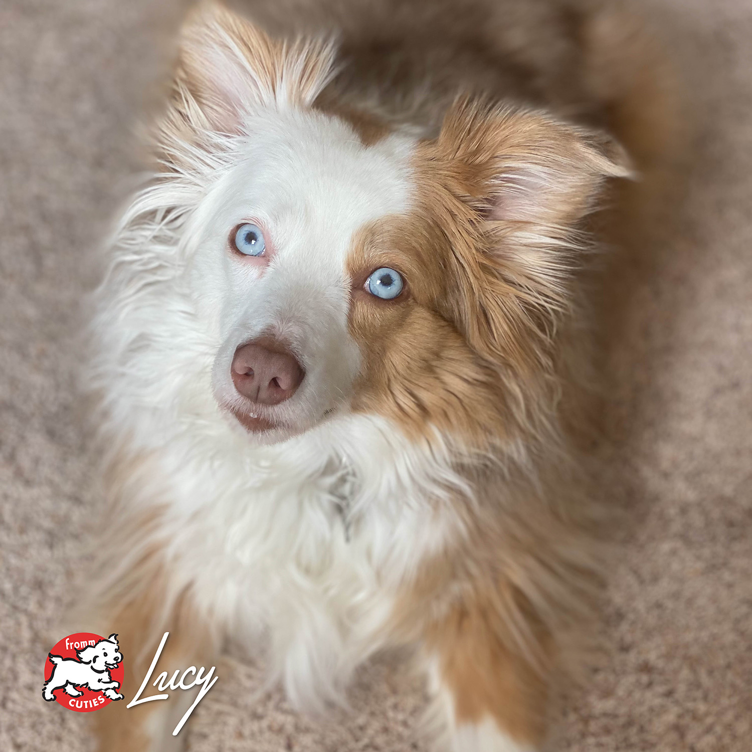 fourstar_cuties-lucy