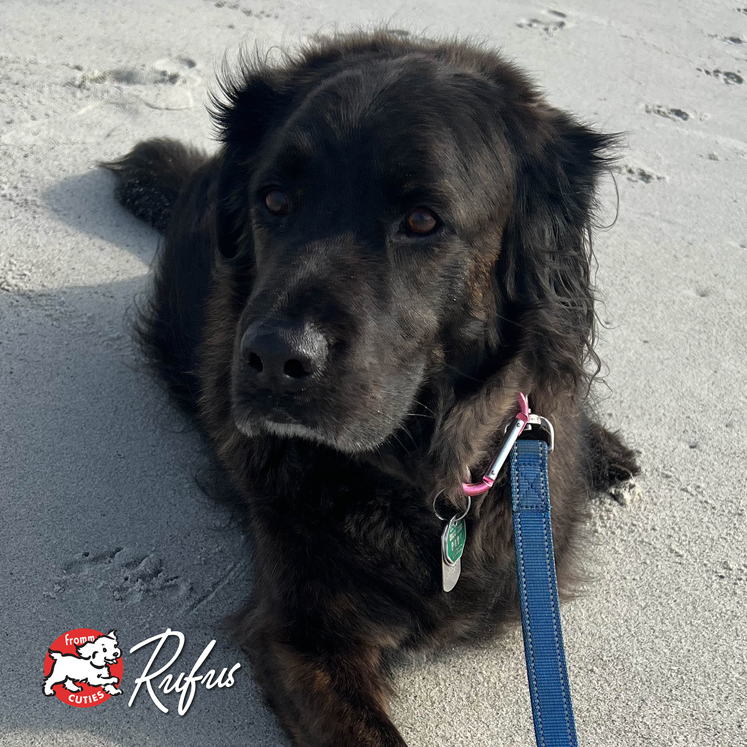 fourstar_cuties-rufus