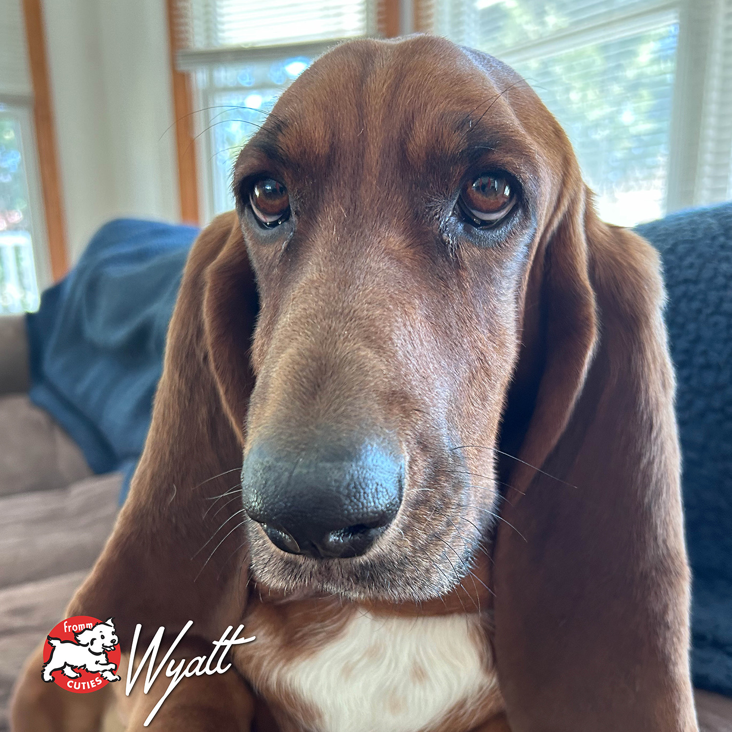 frommbalaya_cuties-wyatt