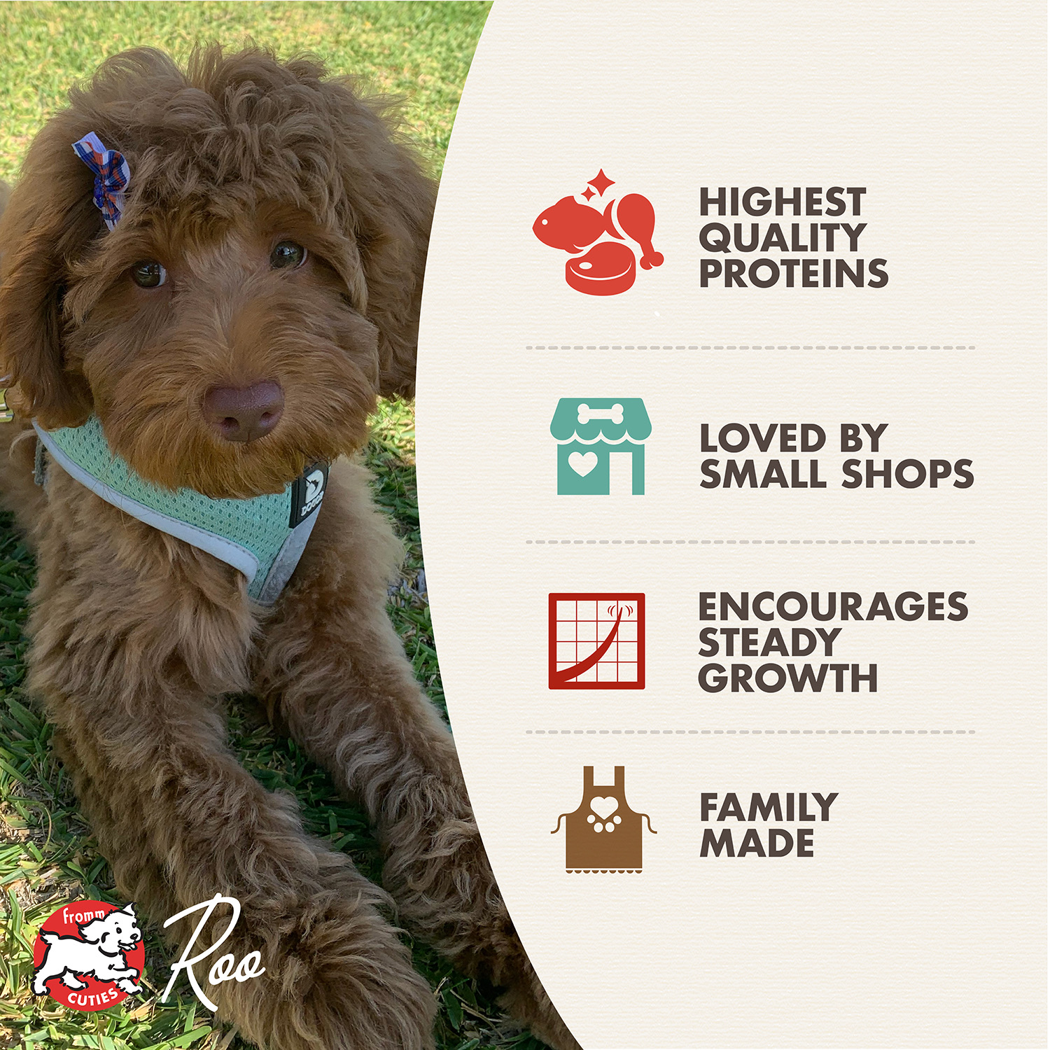 gold-features-heartlandgoldlgbreedpuppy