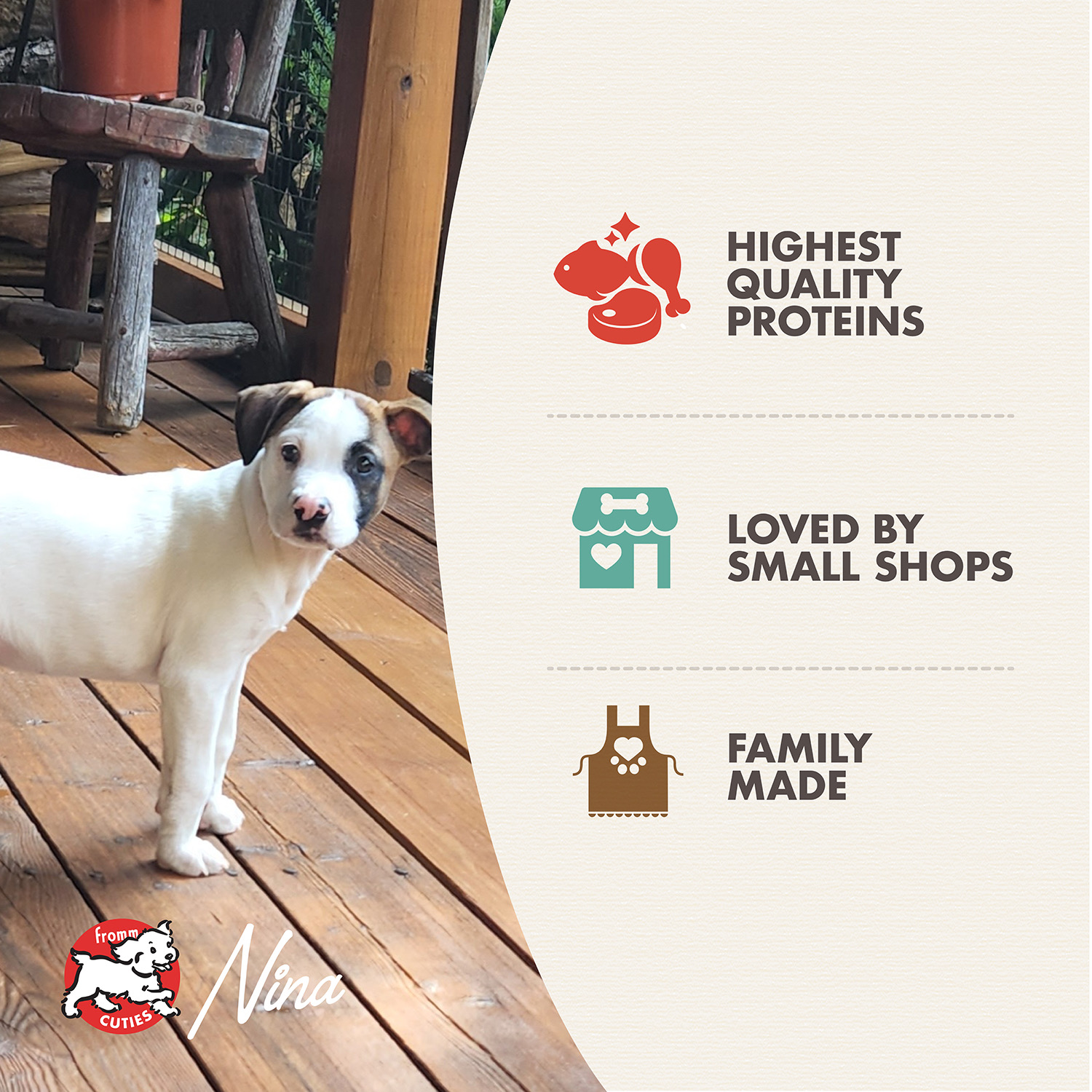 gold-features-heartlandgoldpuppy