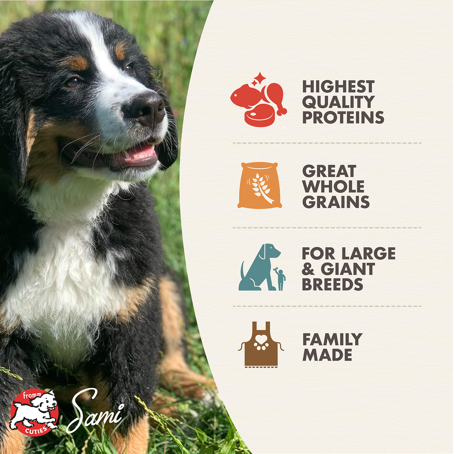 gold-features-largebreedpuppy
