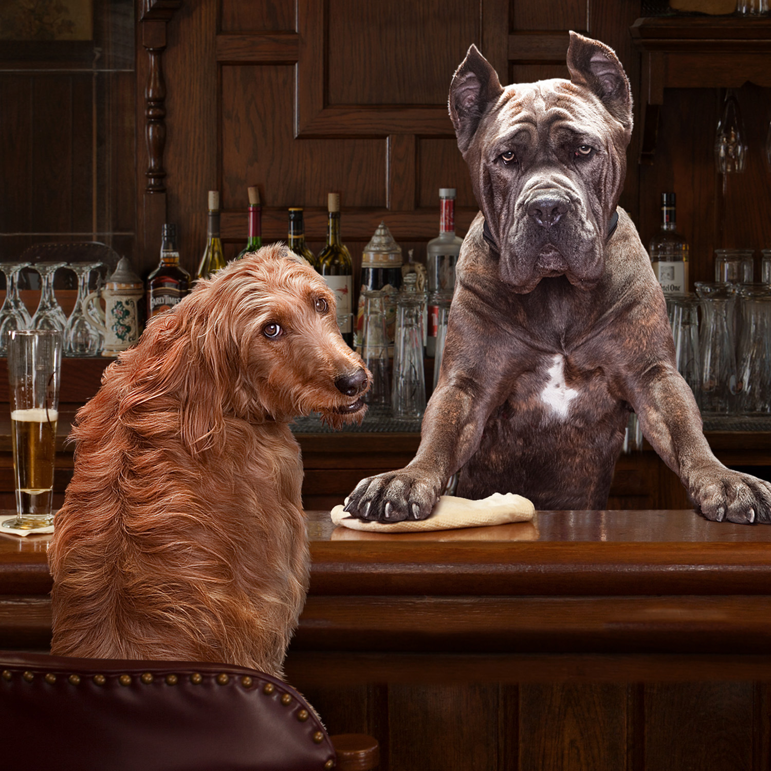 gold-lifestyle-bar