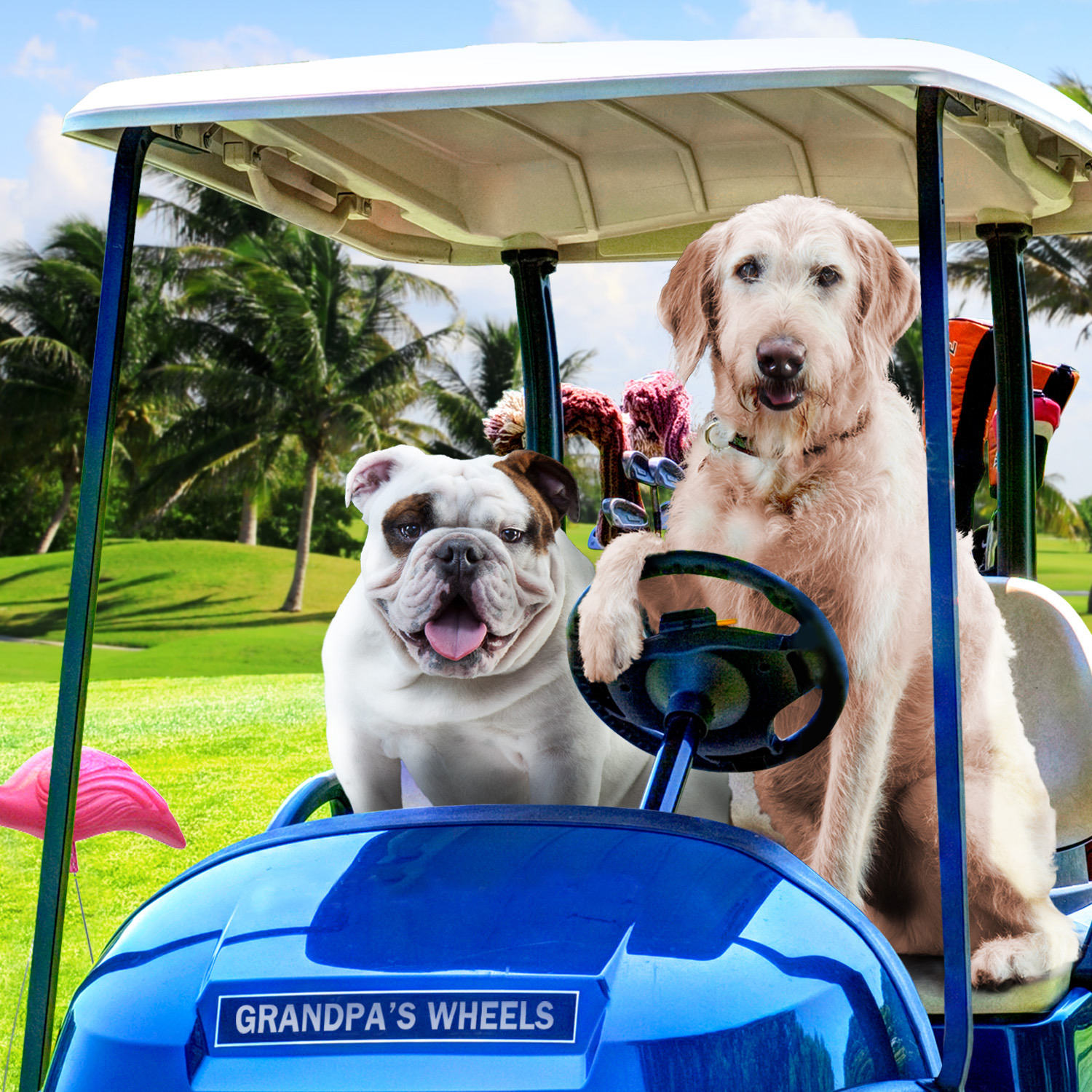 gold-lifestyle-golf