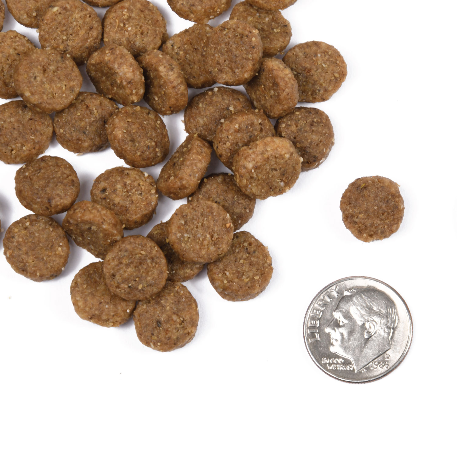 A small pile of Classic Adult kibble next to a dime for scale