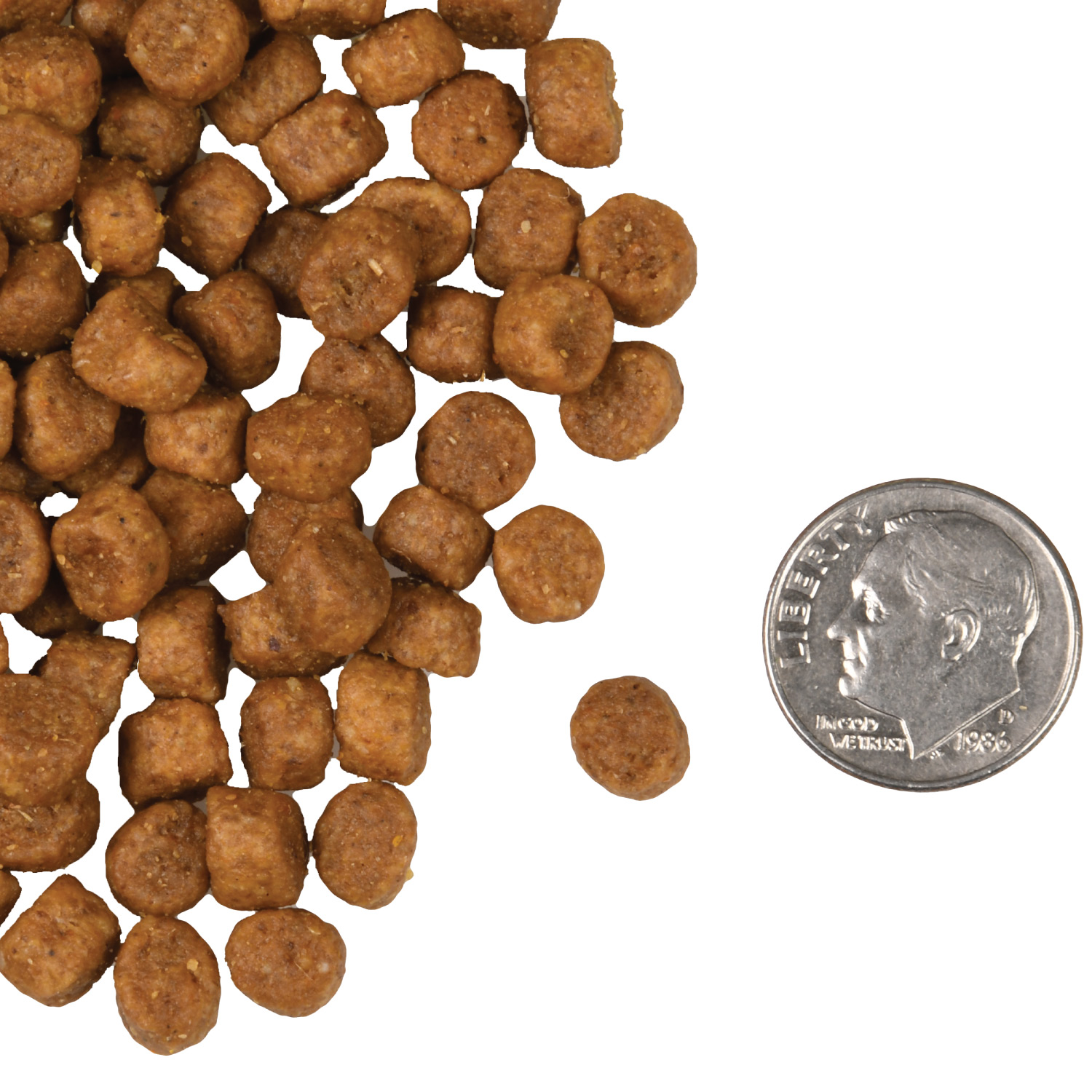 A small pile of Four-Star Chicken A La Veg Cat kibble next to a dime for scale.