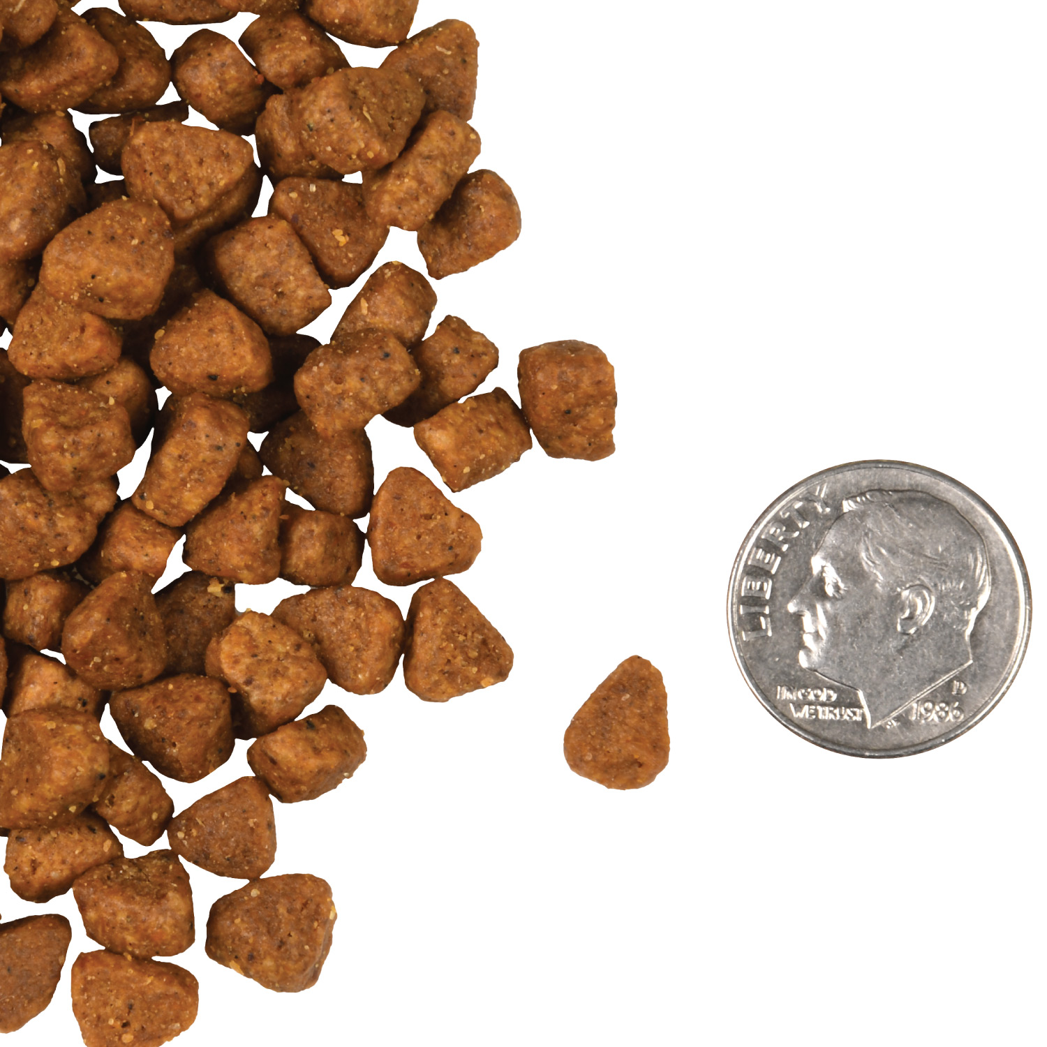 A small pile of Four-Star Chicken Au Frommage Cat kibble next to a dime for scale.