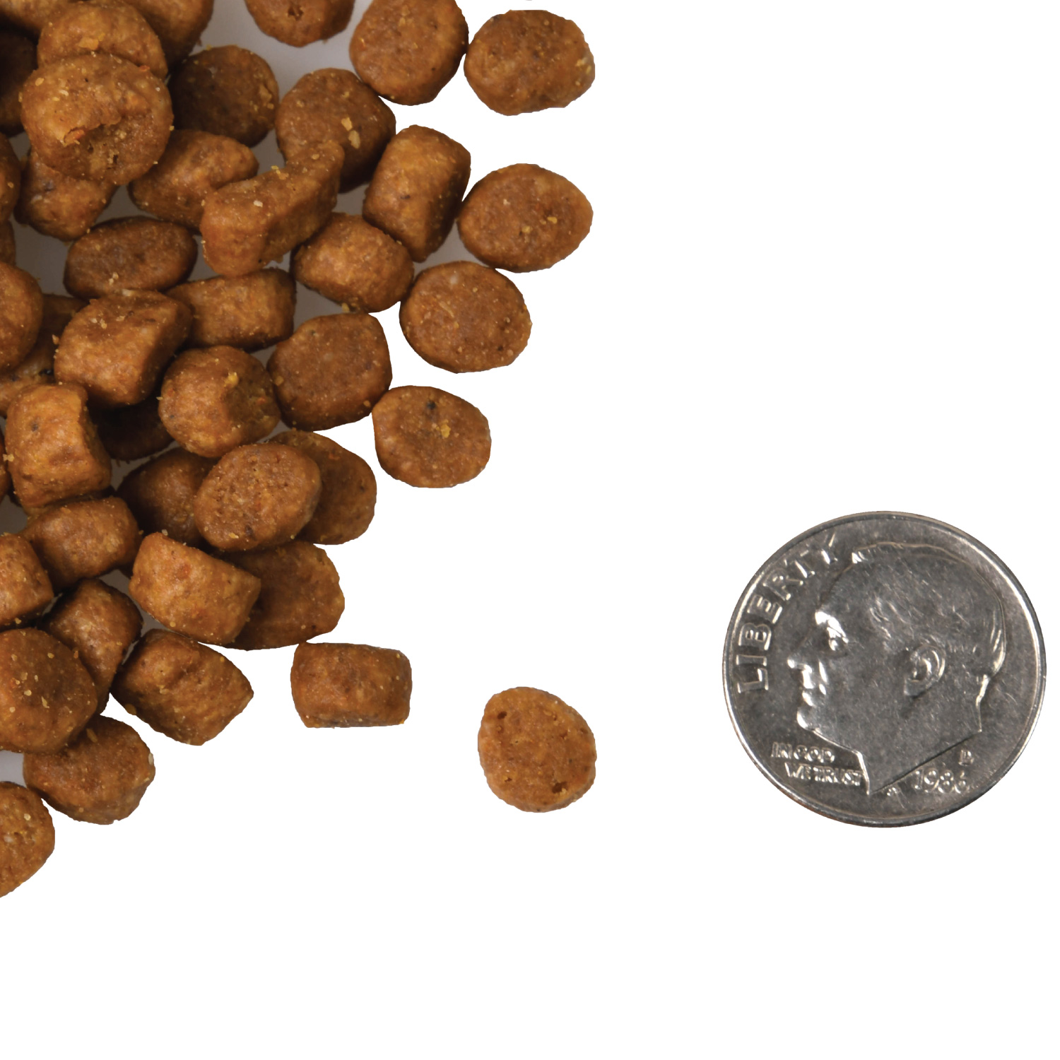 A small pile of Four-Star Duck A La Veg Cat kibble next to a dime for scale.