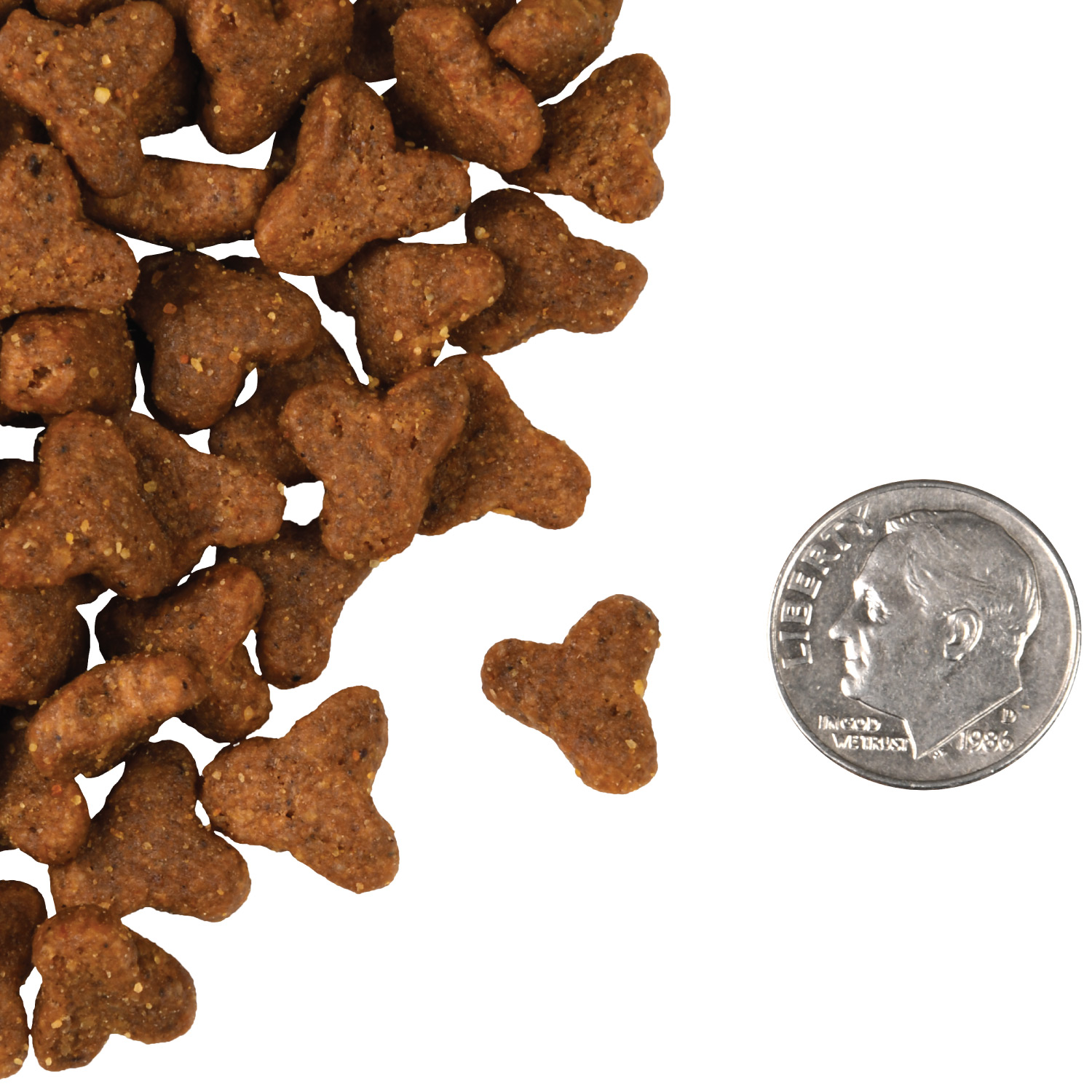 A small pile of Four-Star Game Bird Cat kibble next to a dime for scale.