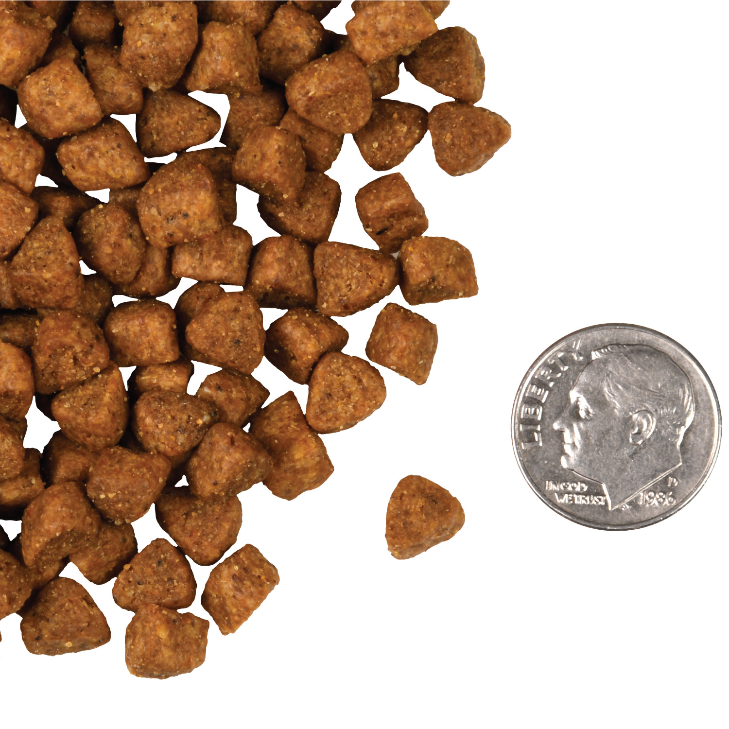 A small pile of Four-Star Hasen Duckenpfeffer Cat kibble next to a dime for scale.