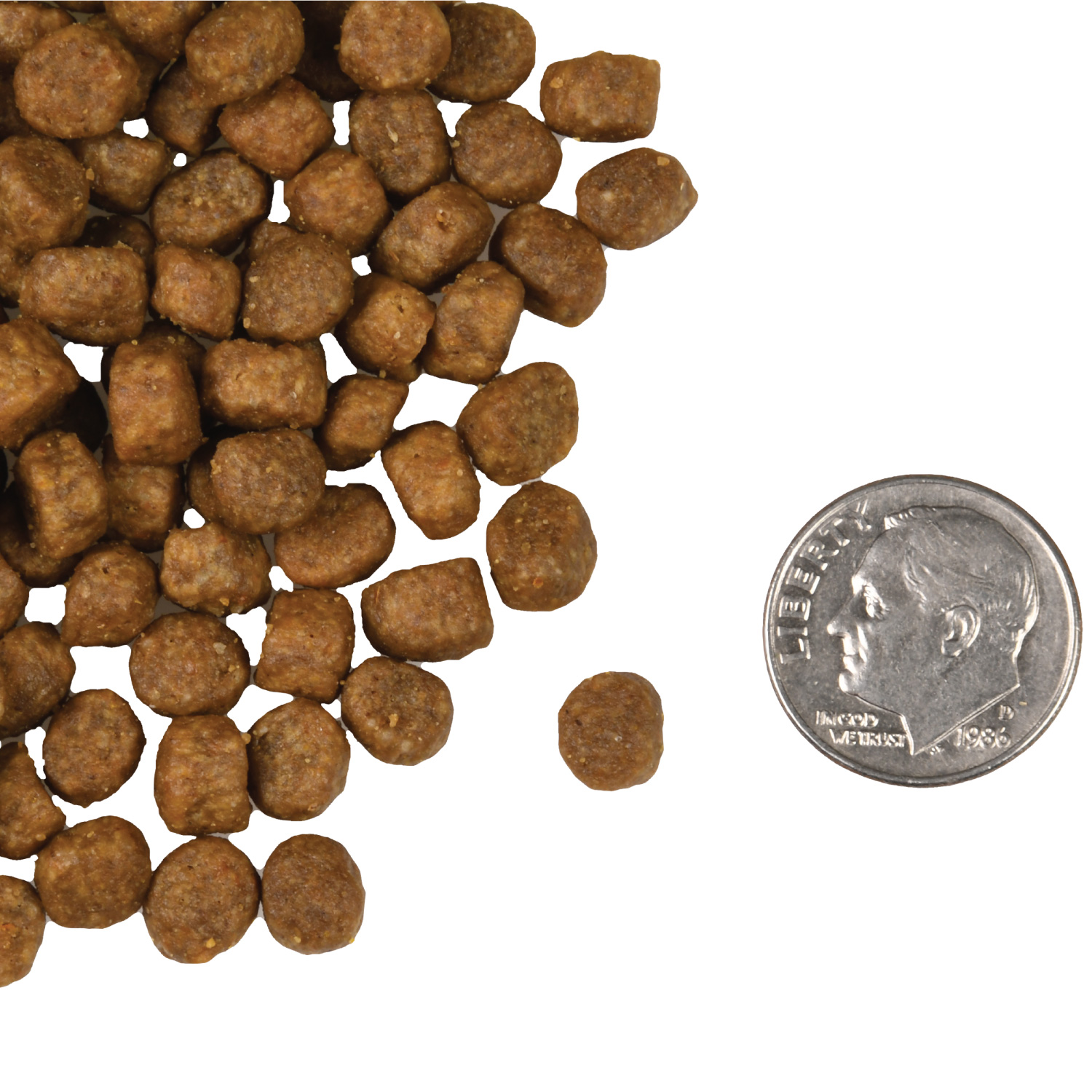 A small pile of Four-Star Salmon A La Veg Cat kibble next to a dime for scale.