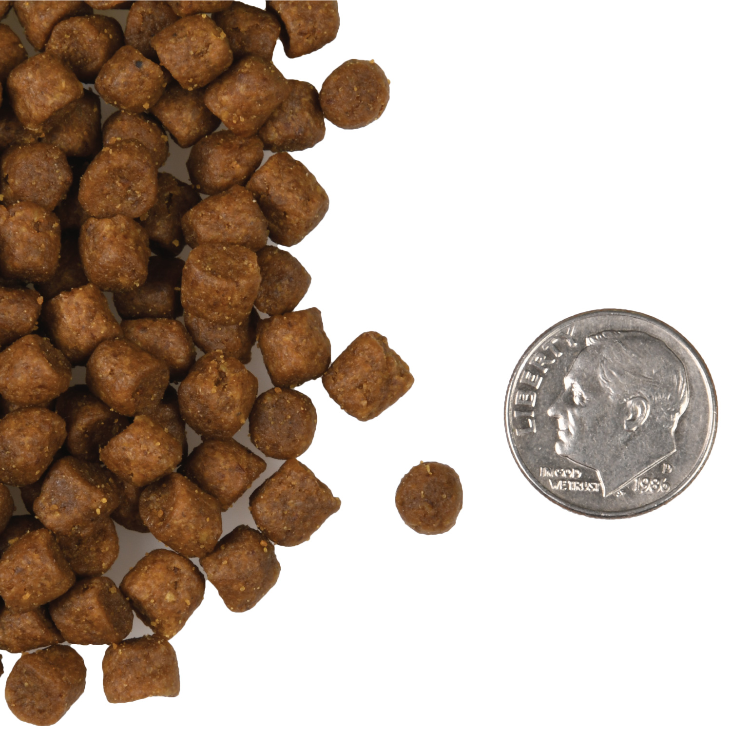 A small pile of Four-Star Surf & Turf Cat kibble next to a dime for scale.
