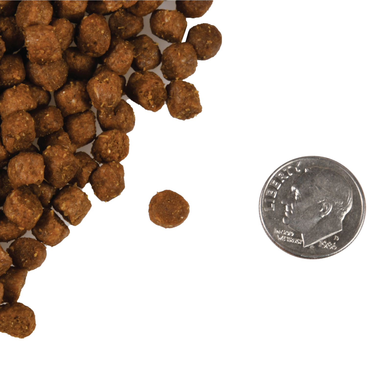A small pile of Trout & Whitefish kibble next to a dime for scale.