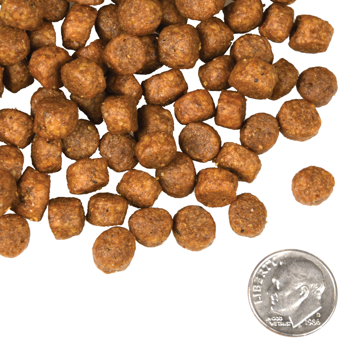 A small pile of Four-Star Beef Frittata kibble next to a dime for scale.