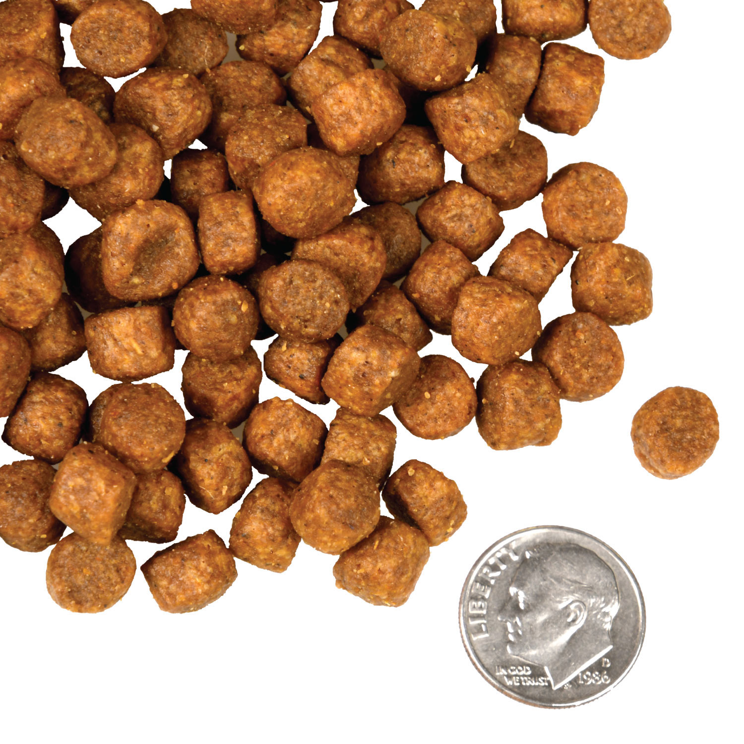 A small pile of Four-Star Game Bird kibble next to a dime for scale.