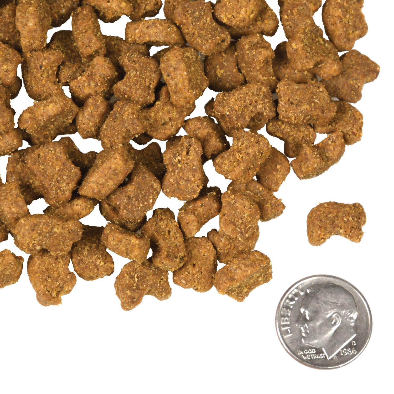 A small pile of Lamb & Lentil kibble next to a dime for scale.