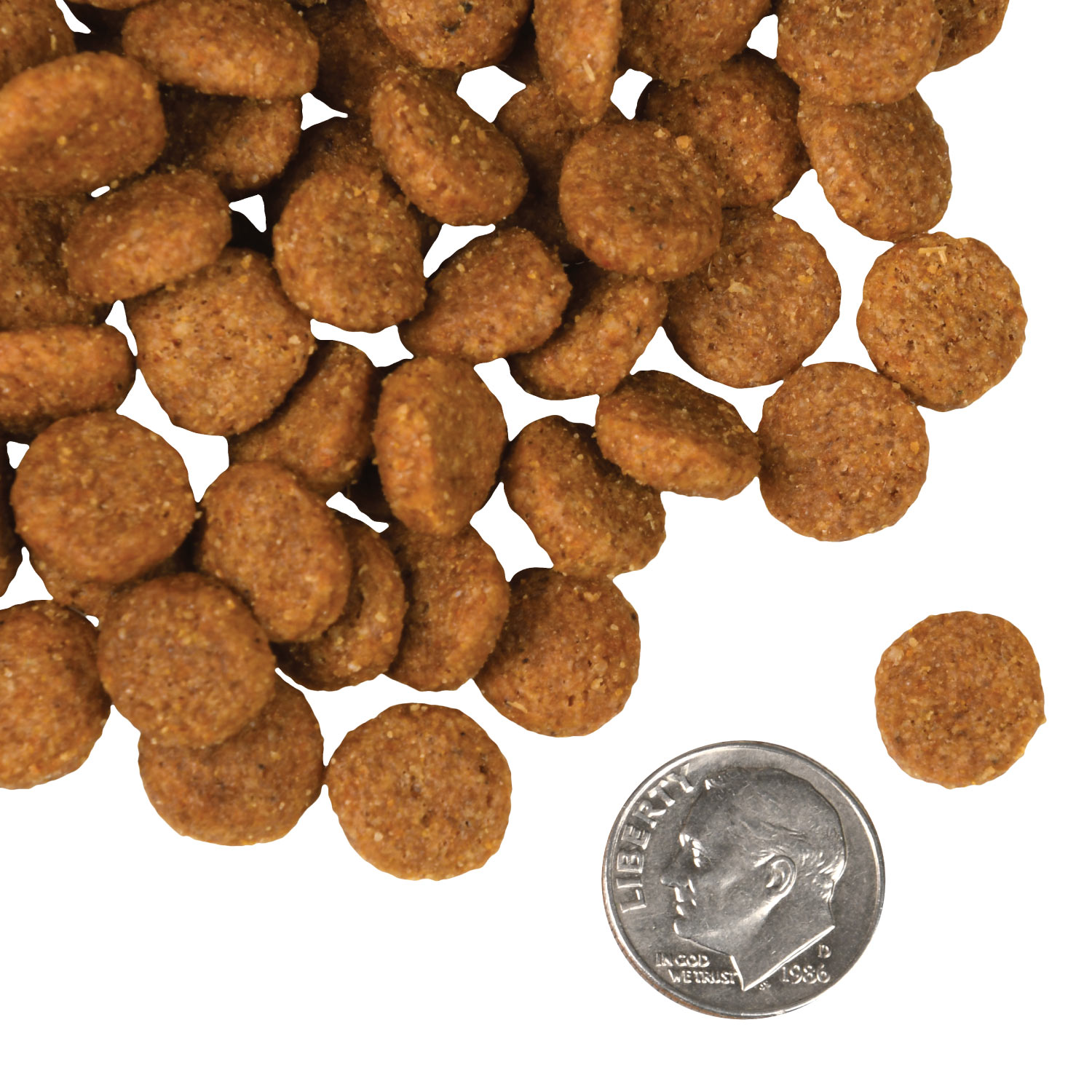 A small pile of Pork & Applesauce kibble next to a dime for scale.