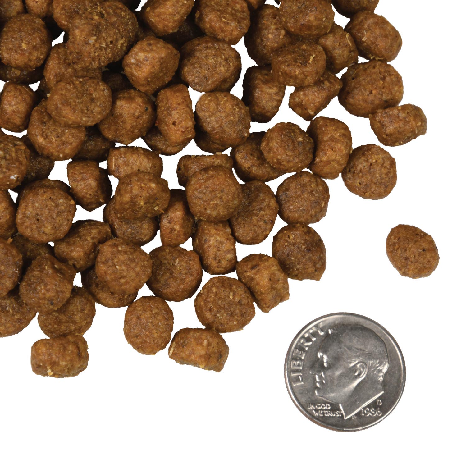A small pile of Salmon A La Veg kibble next to a dime for scale.