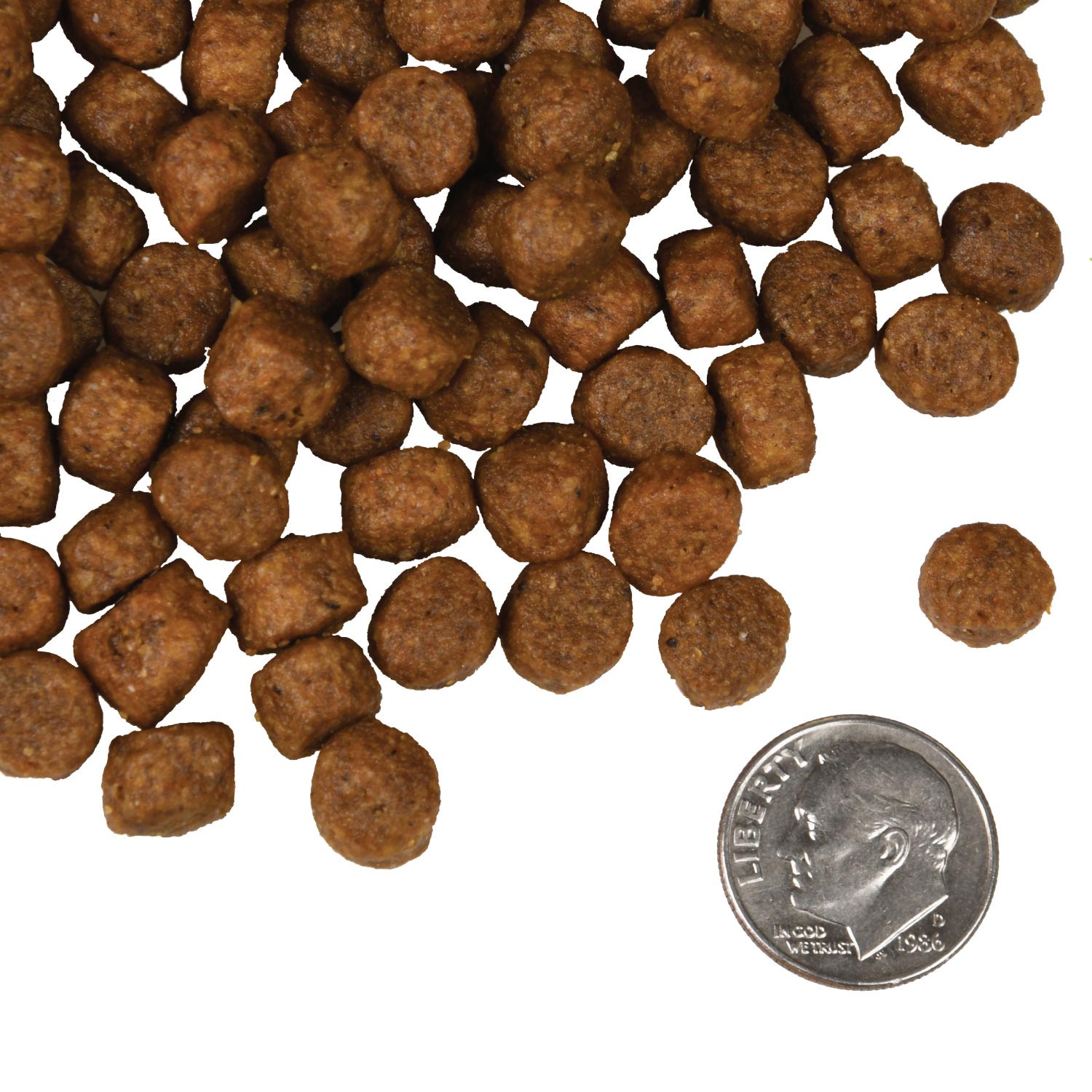 A small pile of Salmon Tunalini kibble next to a dime for scale.