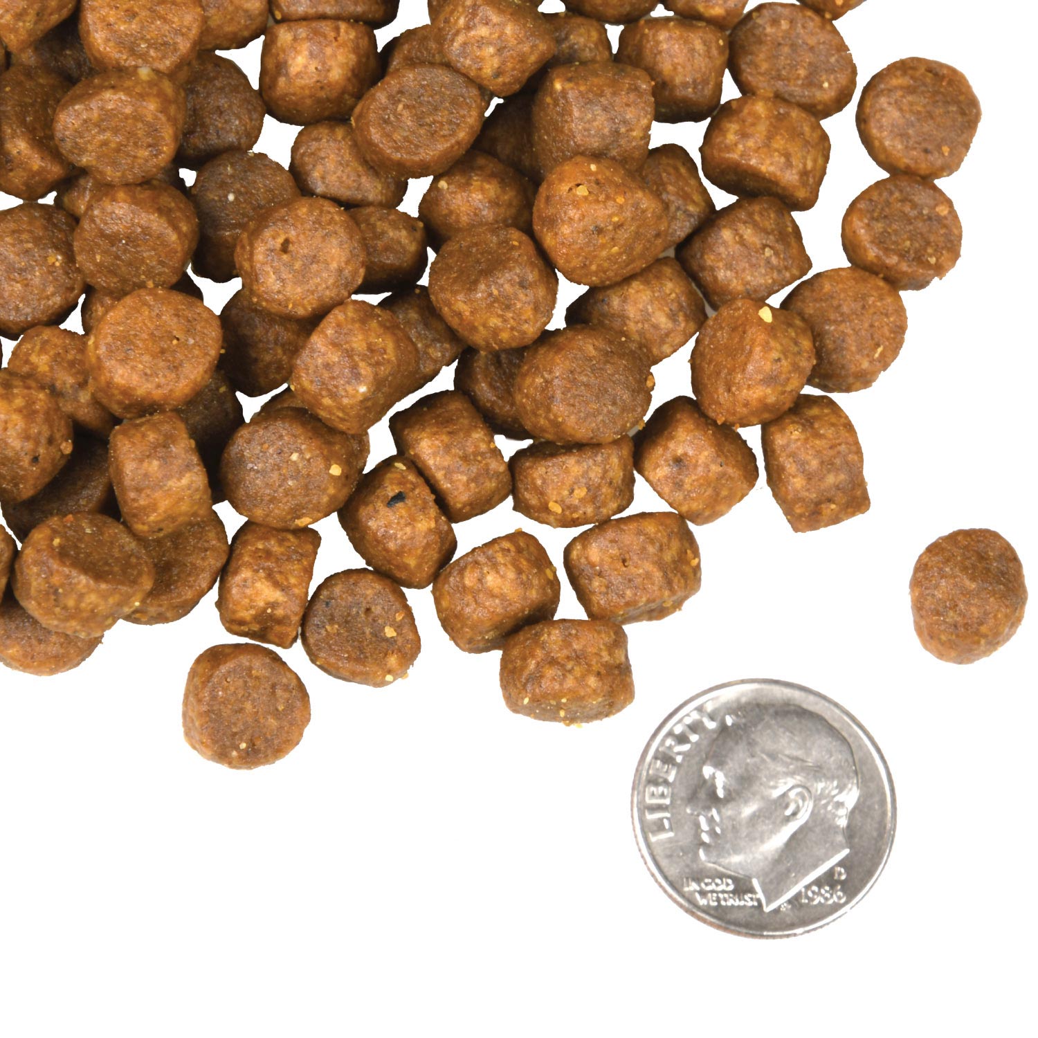 Fromm Four-Star Nutritionals® Surf & Turf Food for Dogs | GoFromm