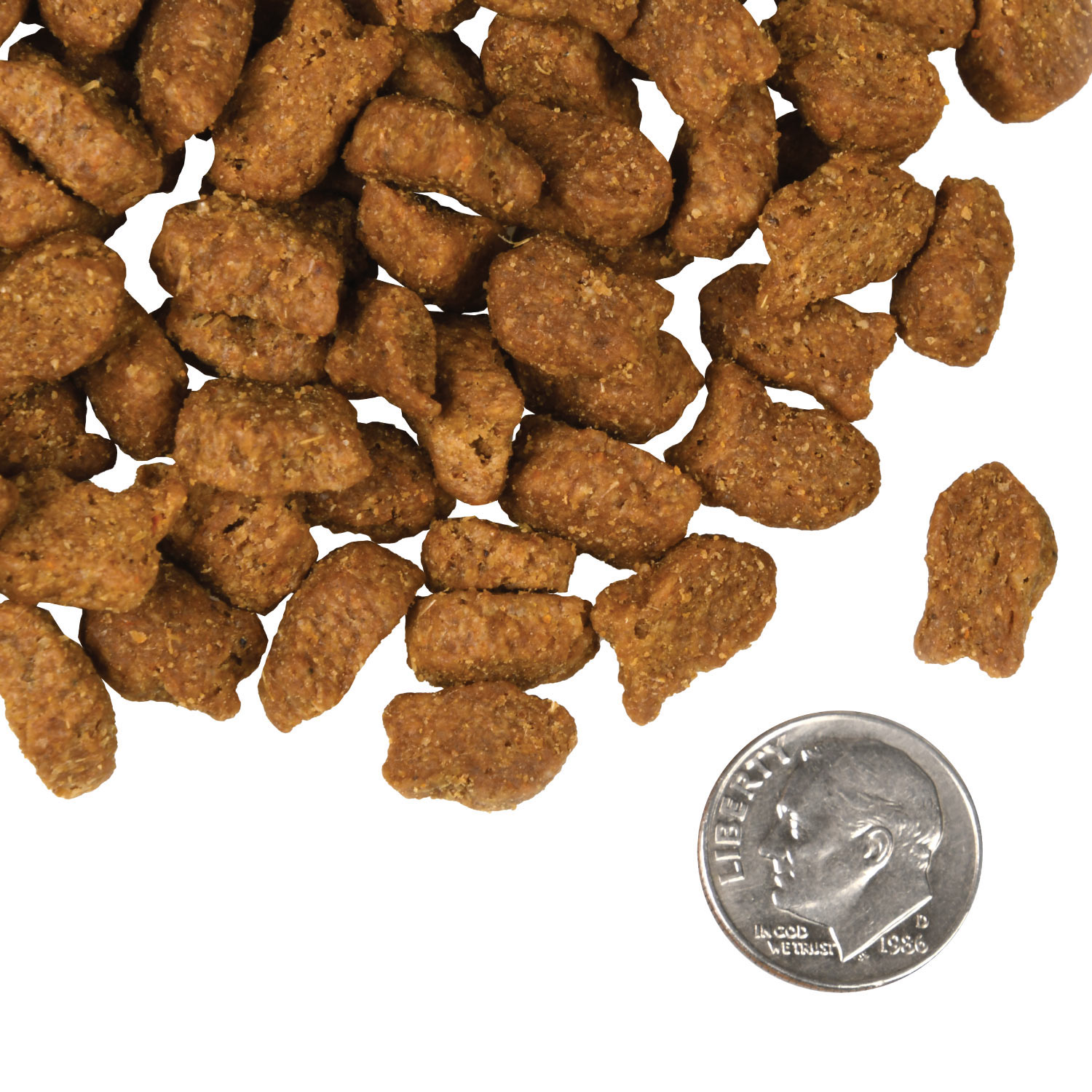 A small pile of Four-Star Trout & Whitefish Cat kibble next to a dime for scale.