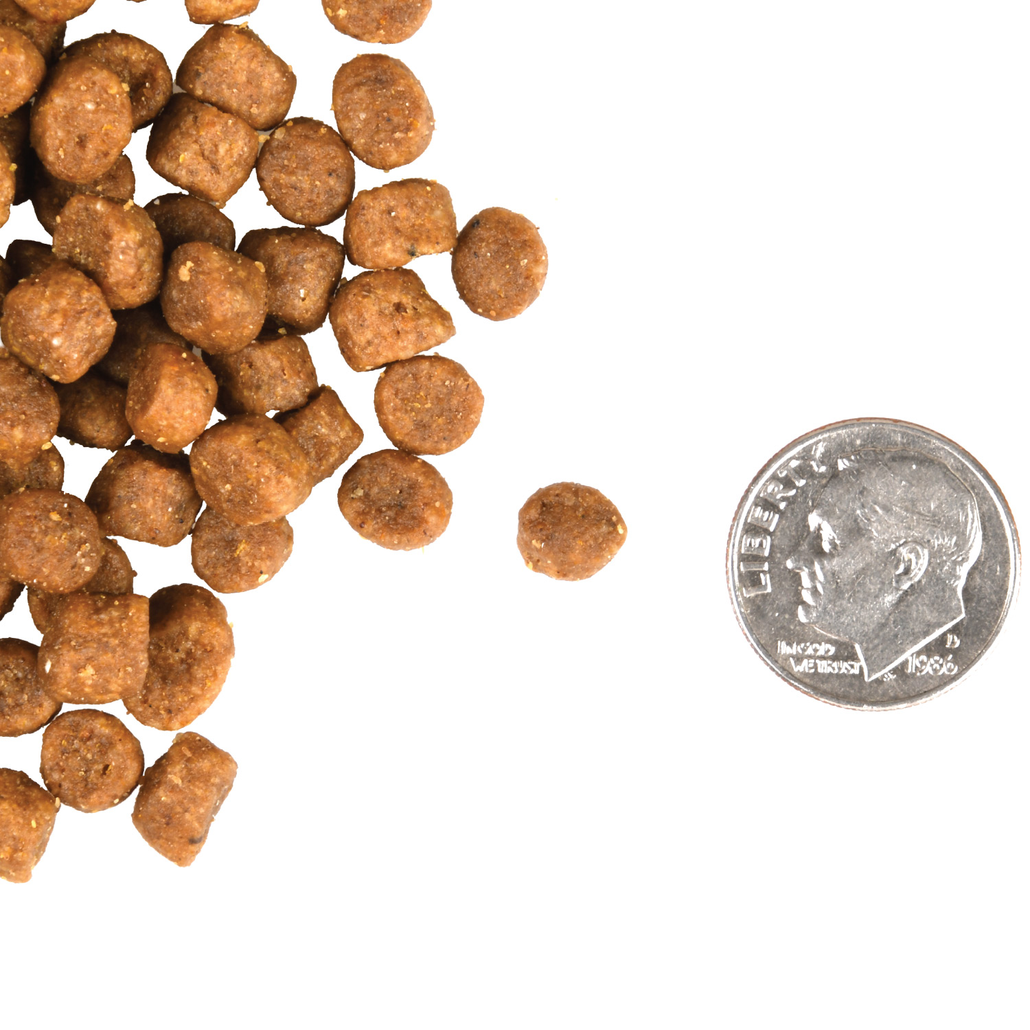 A small pile of Adult Gold Cat kibble next to a dime for scale.