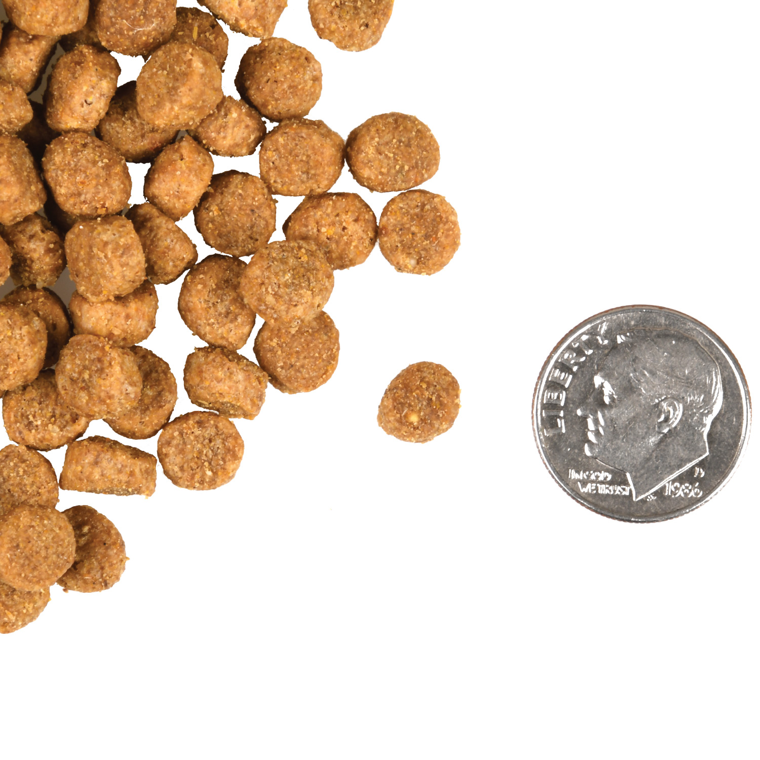 A small pile of Healthy Weight Gold Cat kibble next to a dime for scale.
