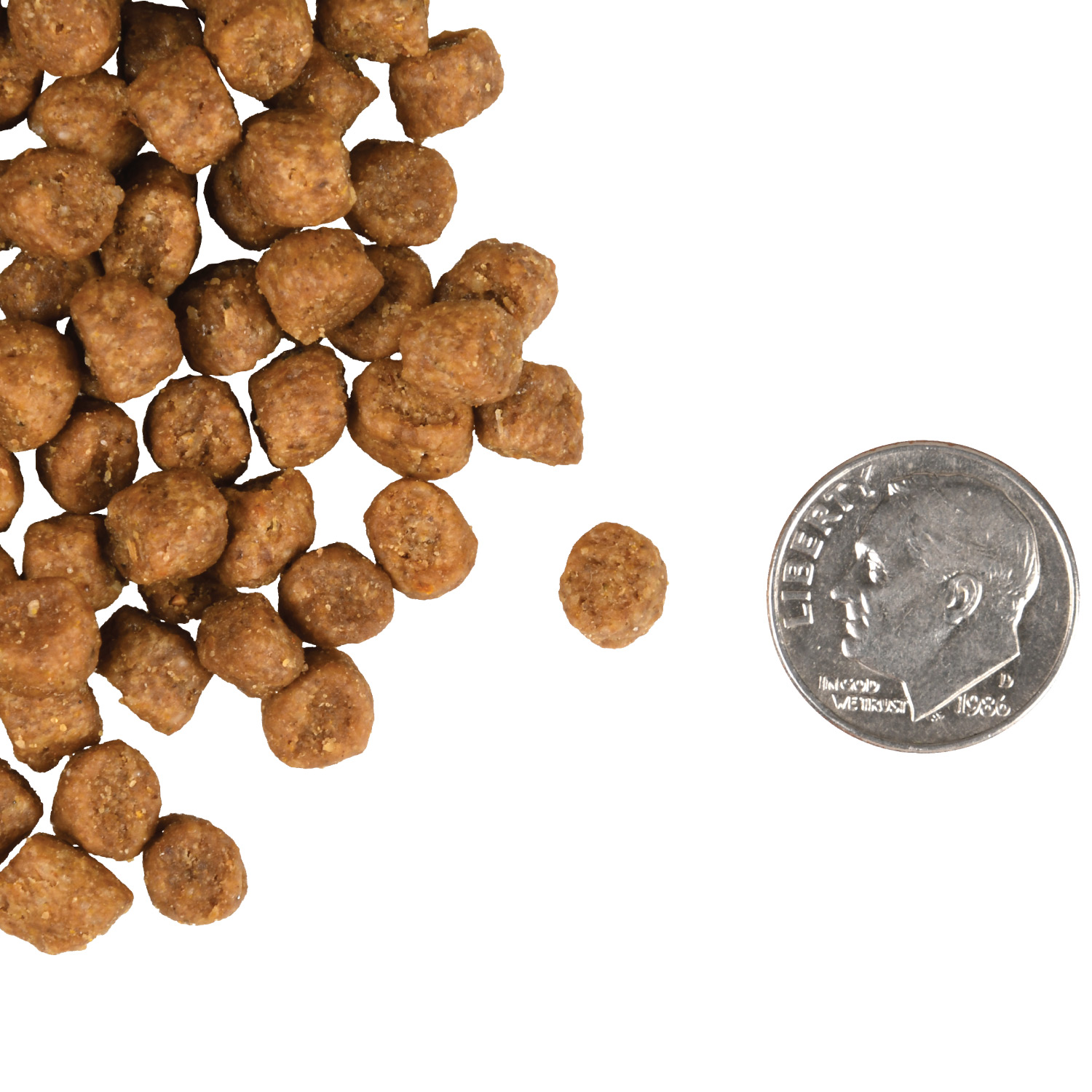 A small pile of Indoor Cat hairball Control Gold kibble next to a dime for scale.