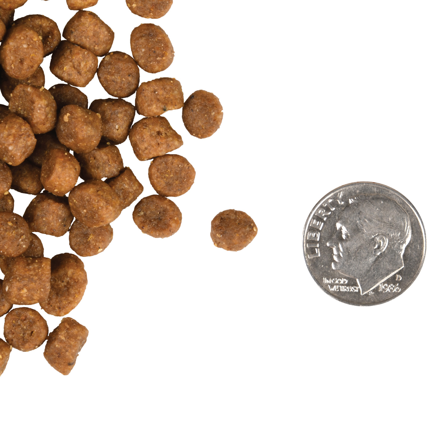 A small pile of Kitten Gold kibble next to a dime for scale.