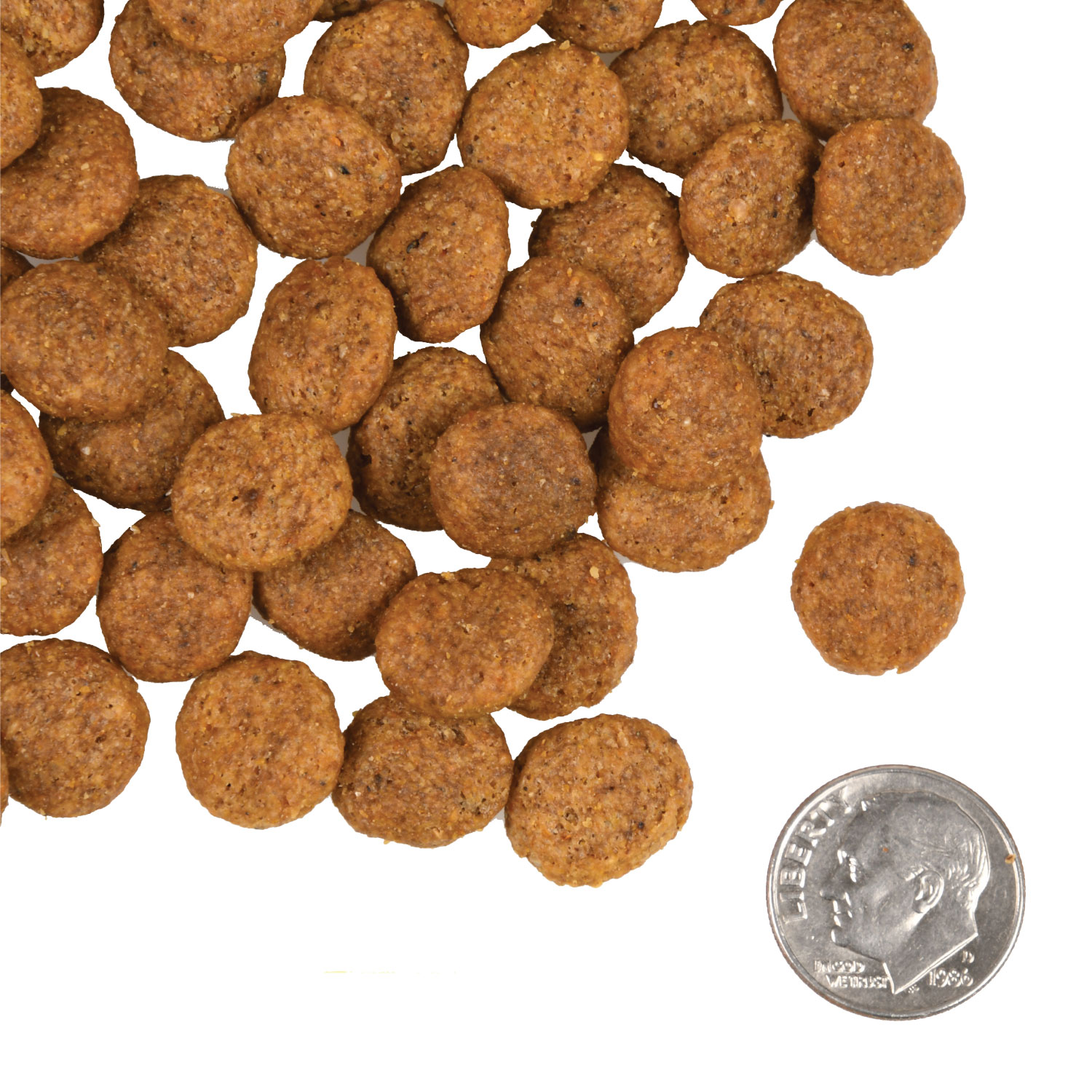 A small pile of Gold Coast Weight Management kibble next to a dime for scale.