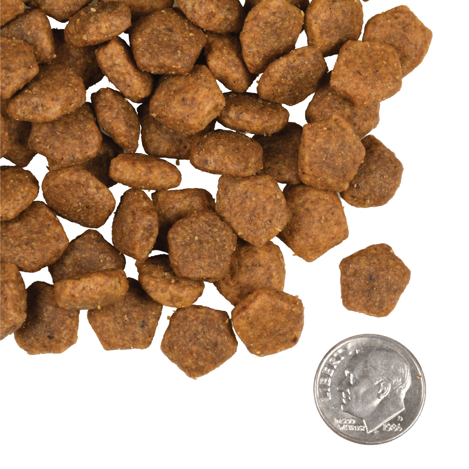Fromm Family Heartland Gold® Adult Food for Dogs | GoFromm.com