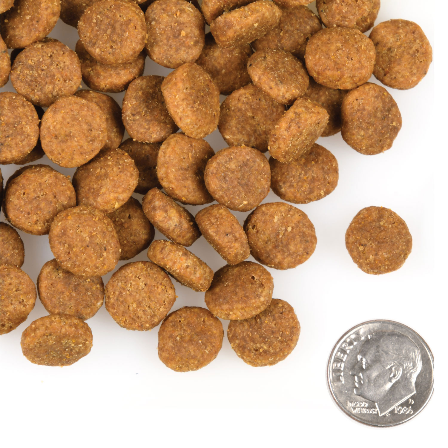 Fromm Family Heartland Gold® Large Breed Adult Food for Dogs