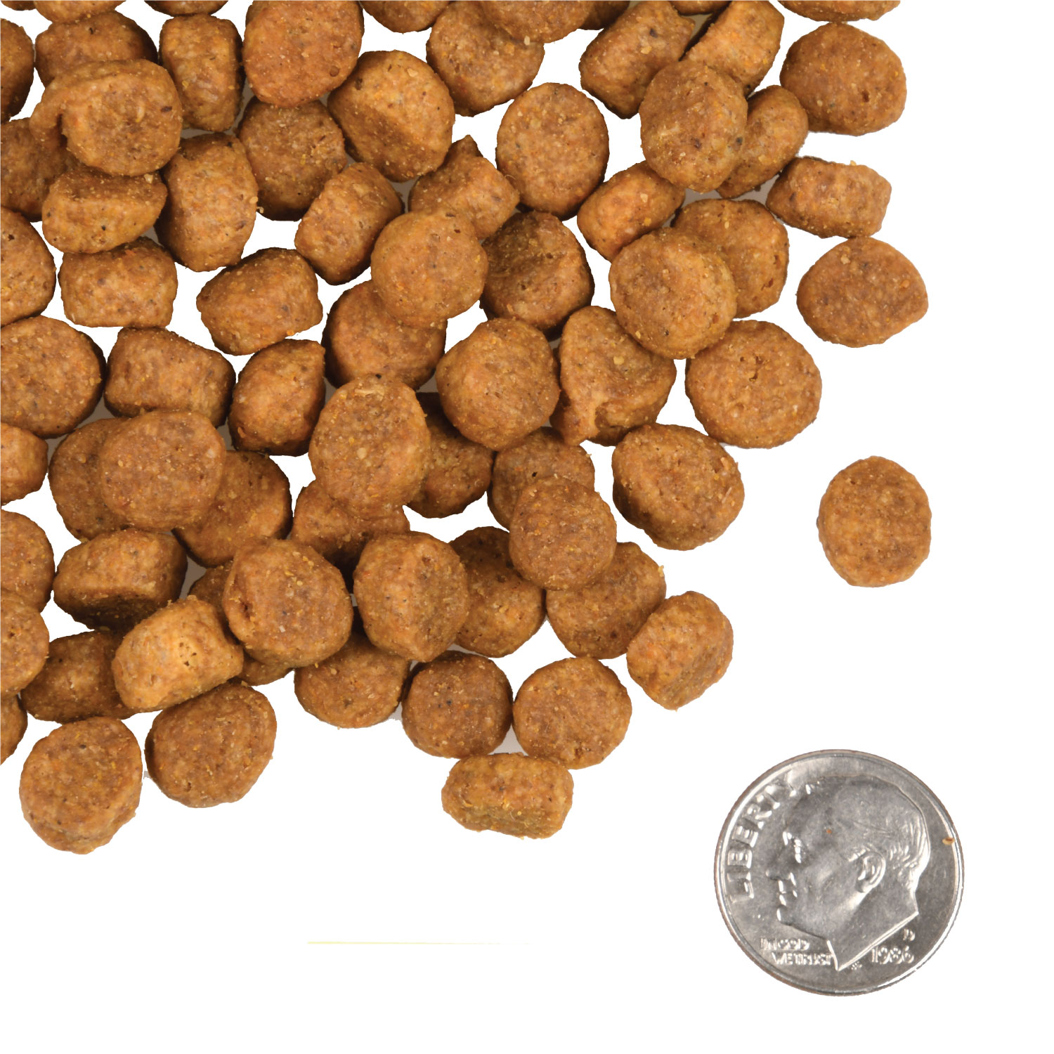 A small pile of Heartland Gold Large Breed Puppy kibble next to a dime for scale.