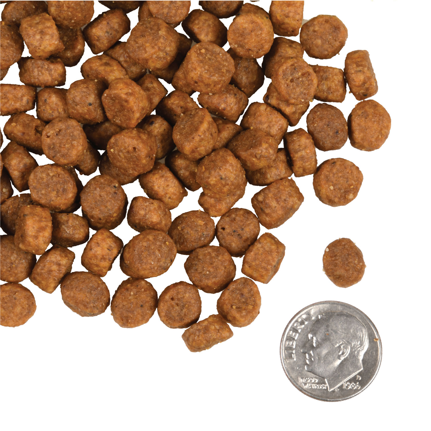 A small pile of Heartland Gold Puppy kibble next to a dime for scale.