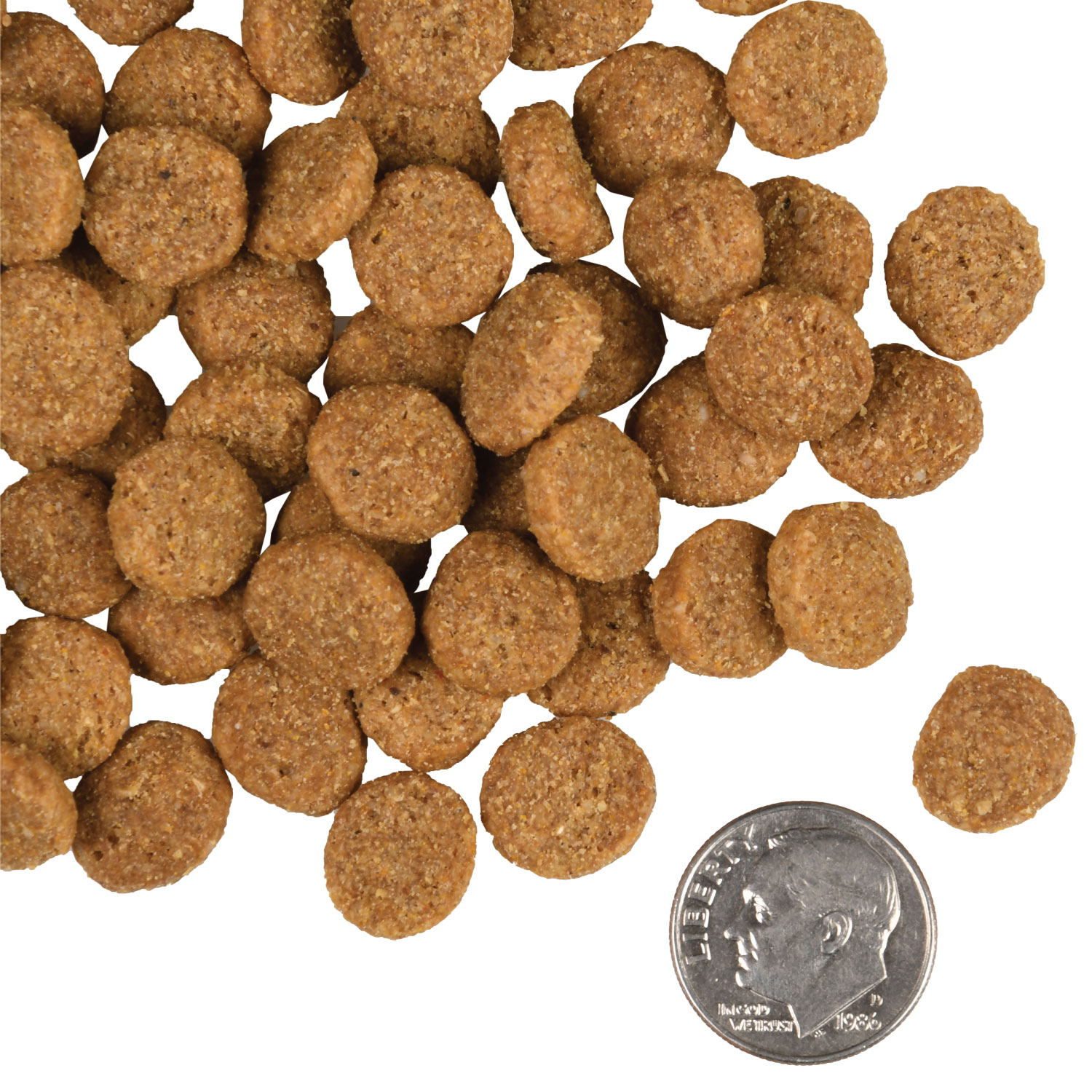 A small pile of Large Breed Adult Gold kibble next to a dime for scale.