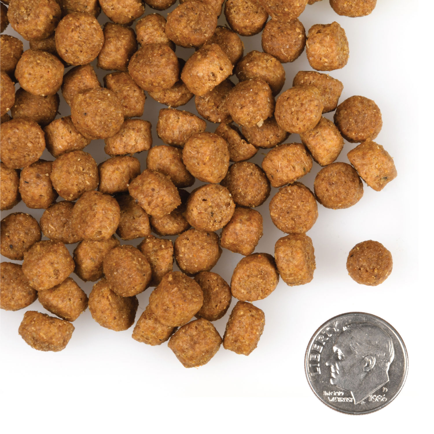A small pile of Large Breed Puppy Gold kibble next to a dime for scale.