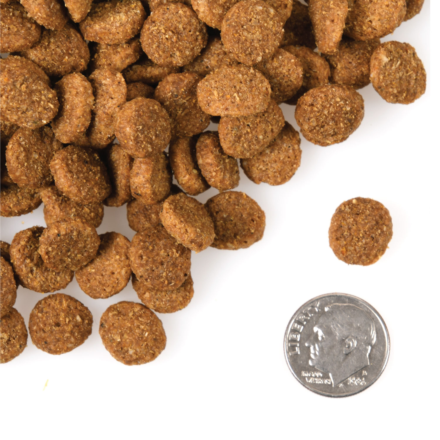 A small pile of Large Breed Weight Management Gold kibble next to a dime for scale.