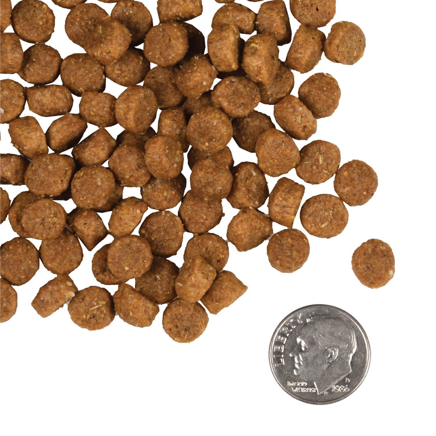 A small pile of Puppy Gold kibble next to a dime for scale.