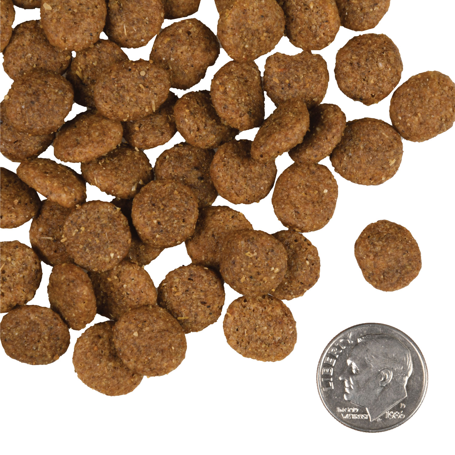 A small pile of Reduced Activity & Senior Gold kibble next to a dime for scale.