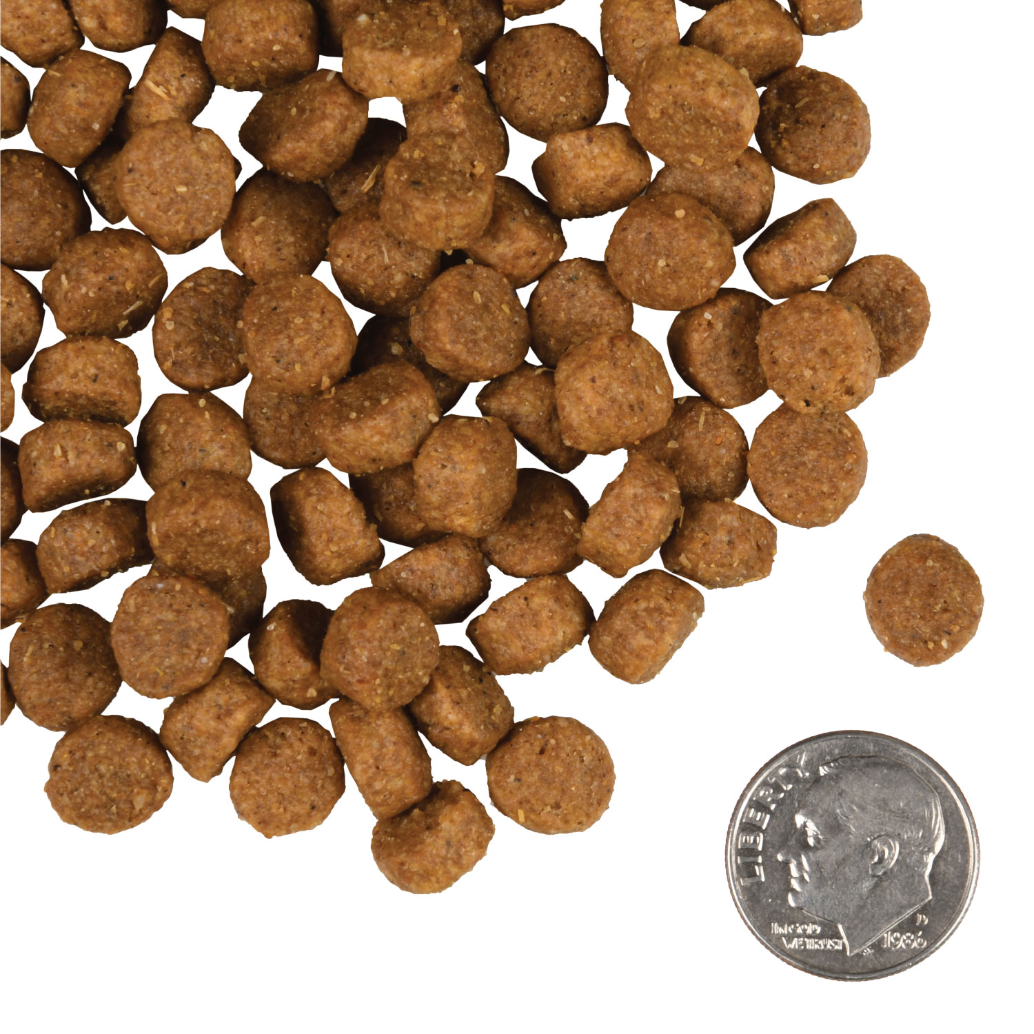 Fromm Family Small Breed Adult Gold Food for Dogs | GoFromm.com