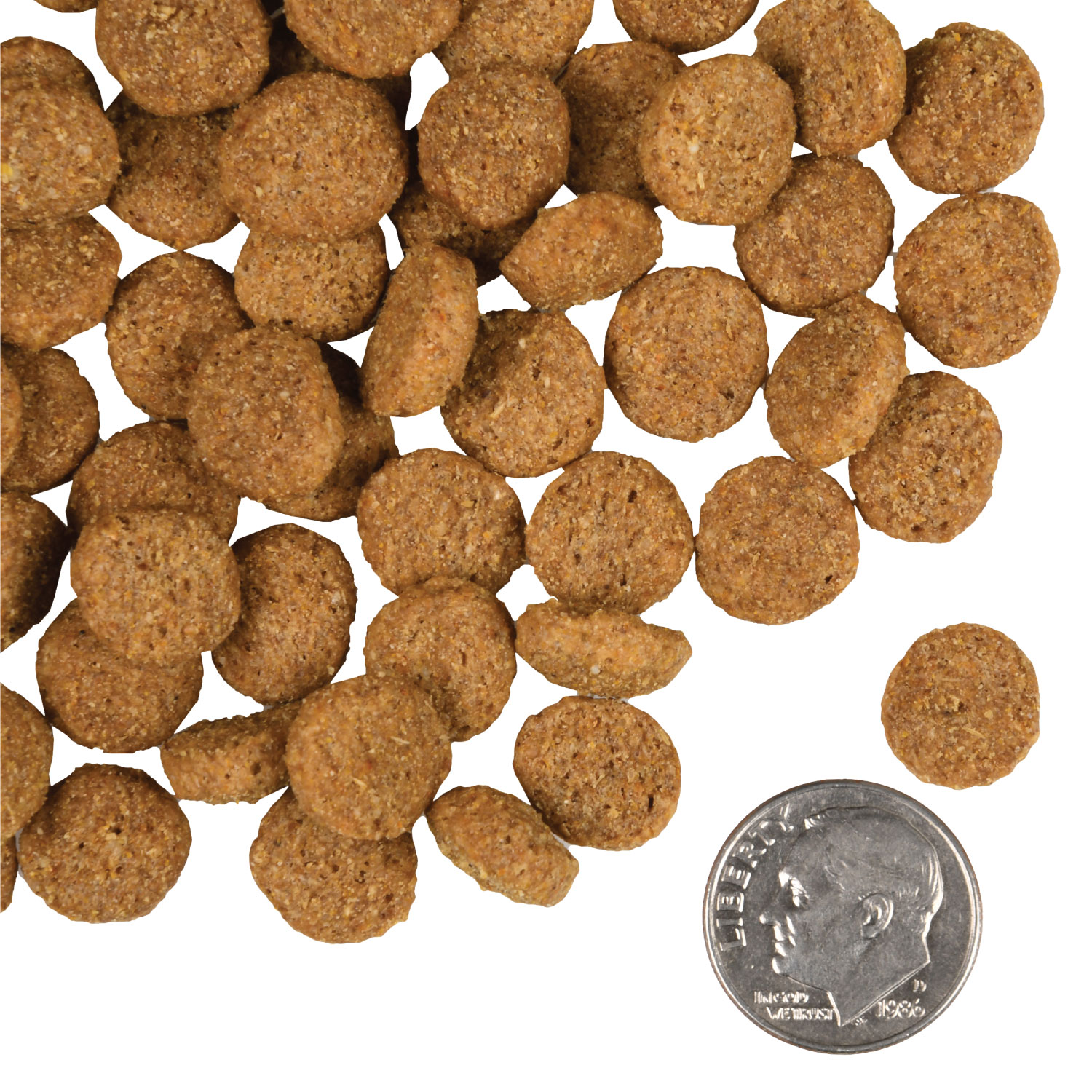 A small pile of Weight Management Gold kibble next to a dime for scale.