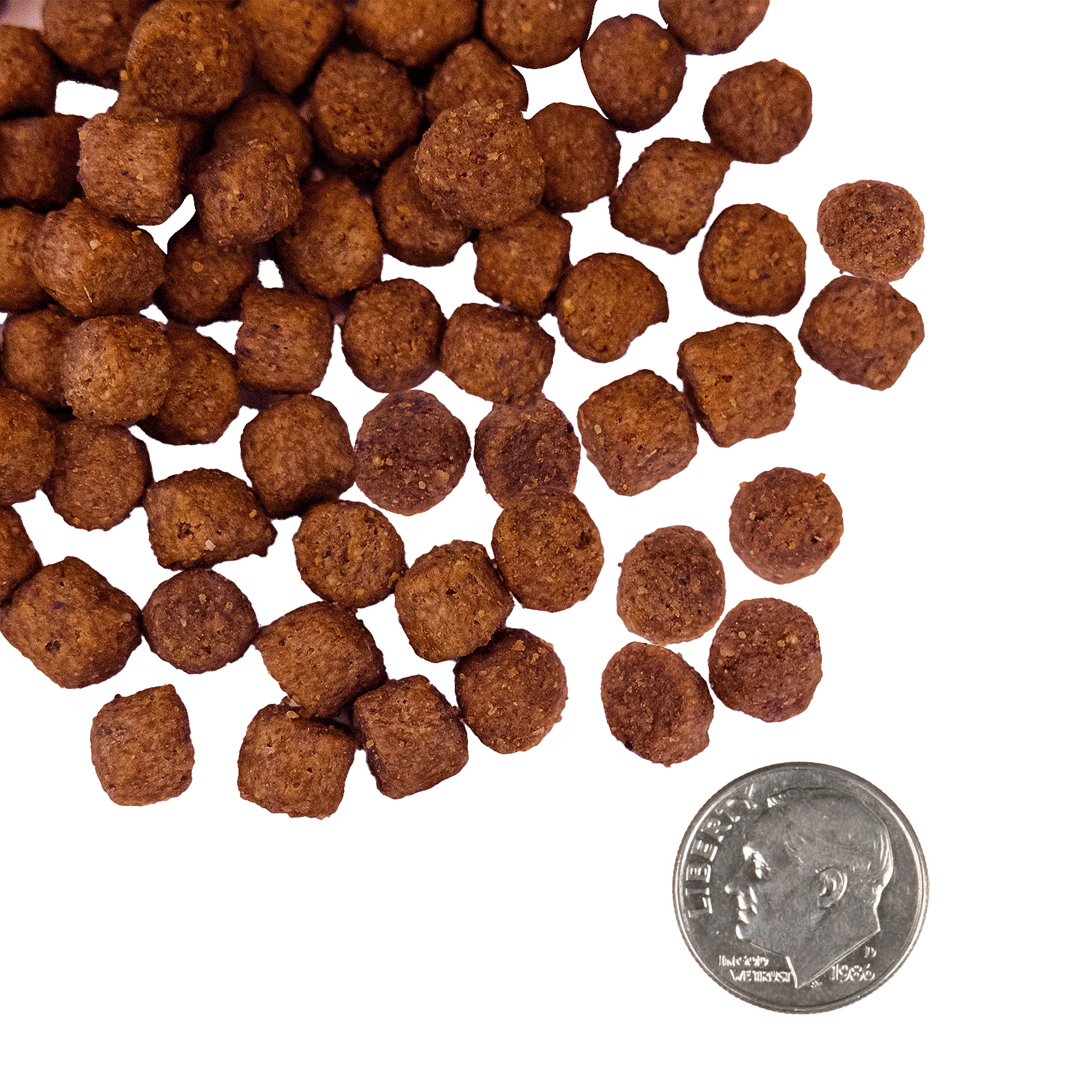 A small pile of Nutritionals Sensitive Skin & Stomach Salmon & Whole Oats Recipe kibble next to a dime for scale.