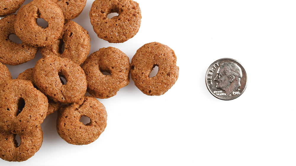 A small pile of Crunchy Os Slammon Smoked Salmon treats next to a dime for scale.