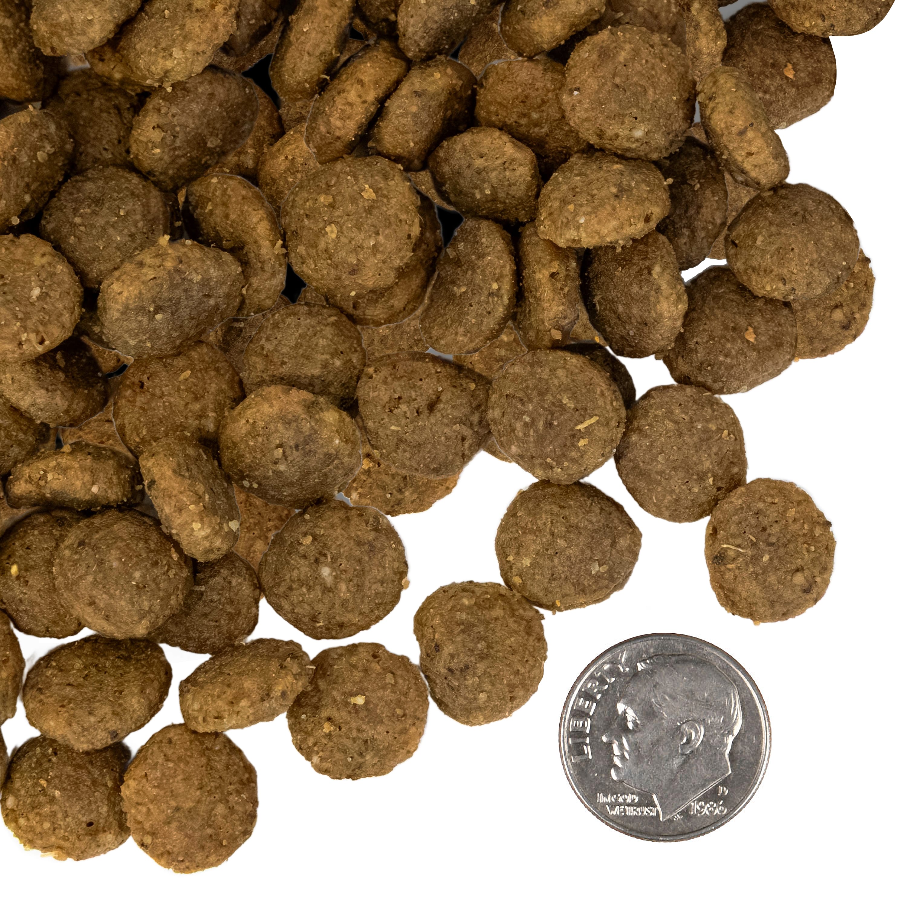 A side-by-side size comparison of Classic Adult Whitefish & Rice dry dog food kibble next to a U.S. dime