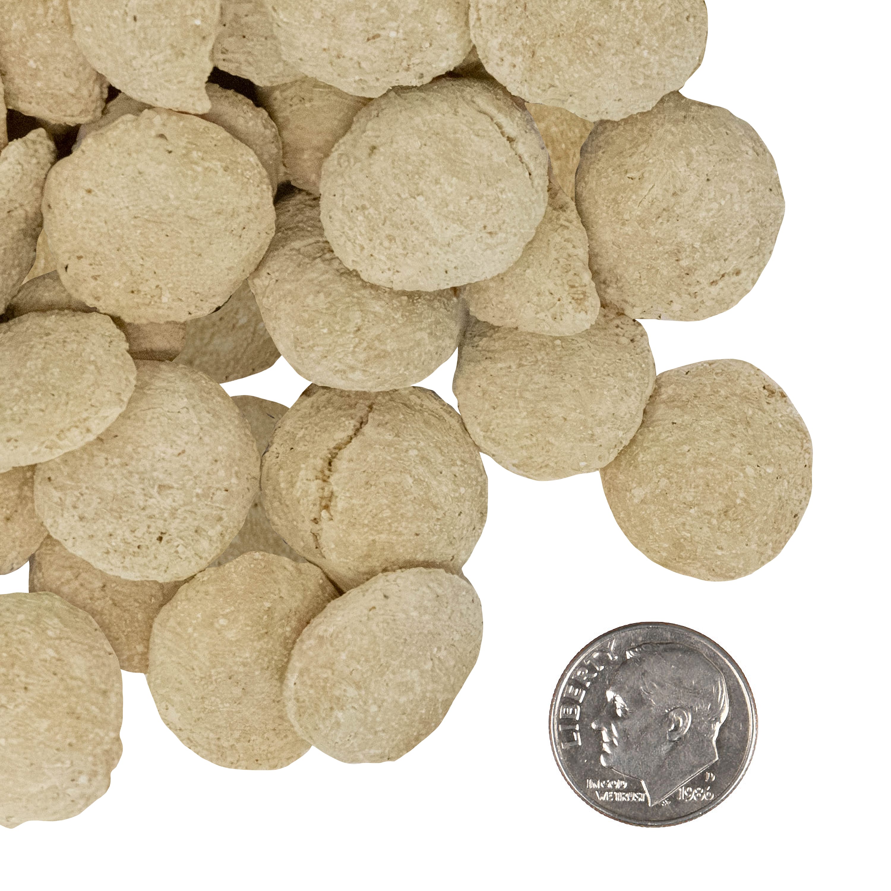 A side-by-side size comparison of Nutritionals Digestive Functional Dog Treats next to a U.S. dime