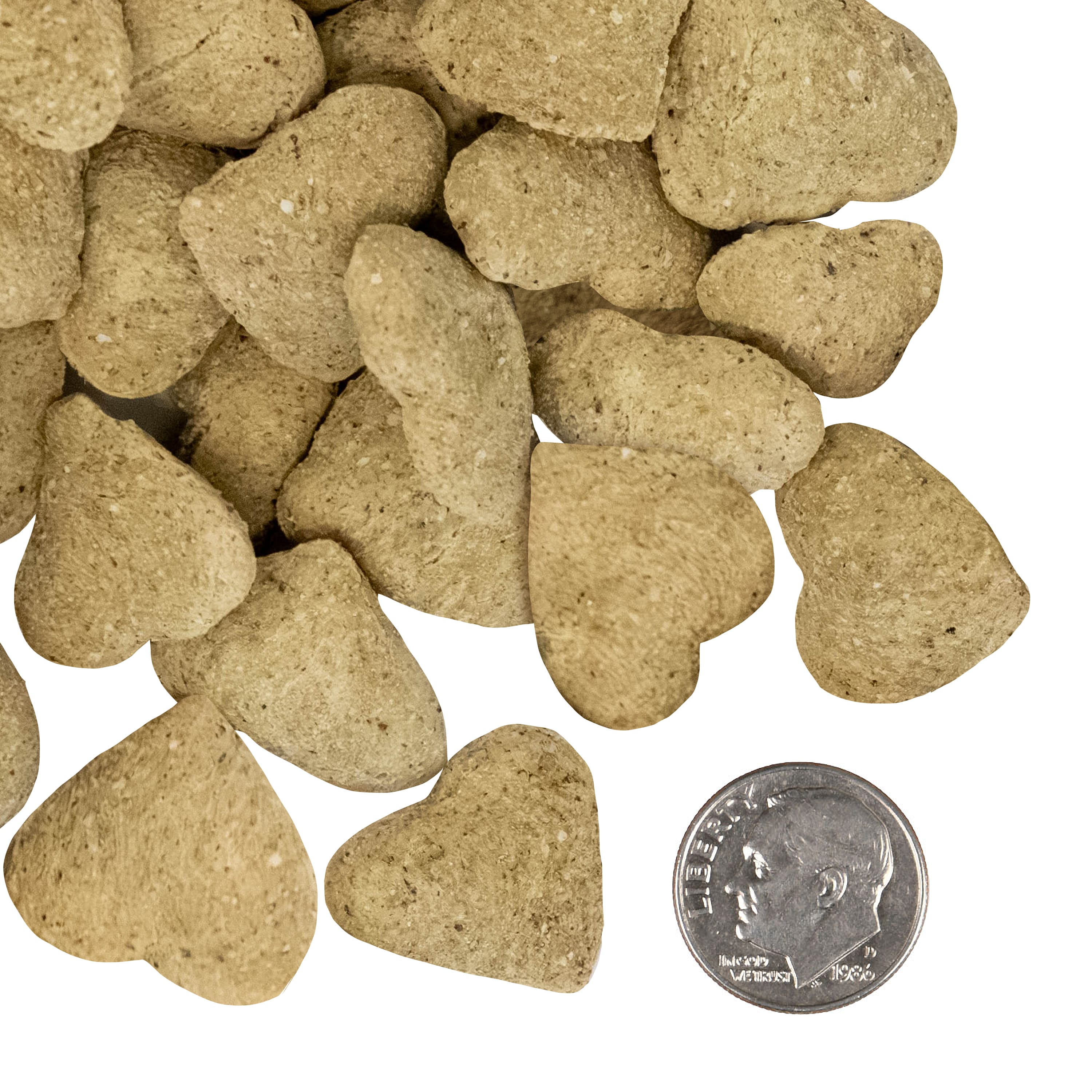 A side-by-side size comparison of Nutritionals Immunity Functional Dog Treats next to a U.S. dime